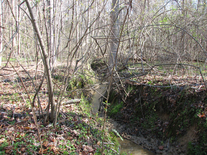 Field photo showing stream conditions at site WCHE-106-R-2007-2