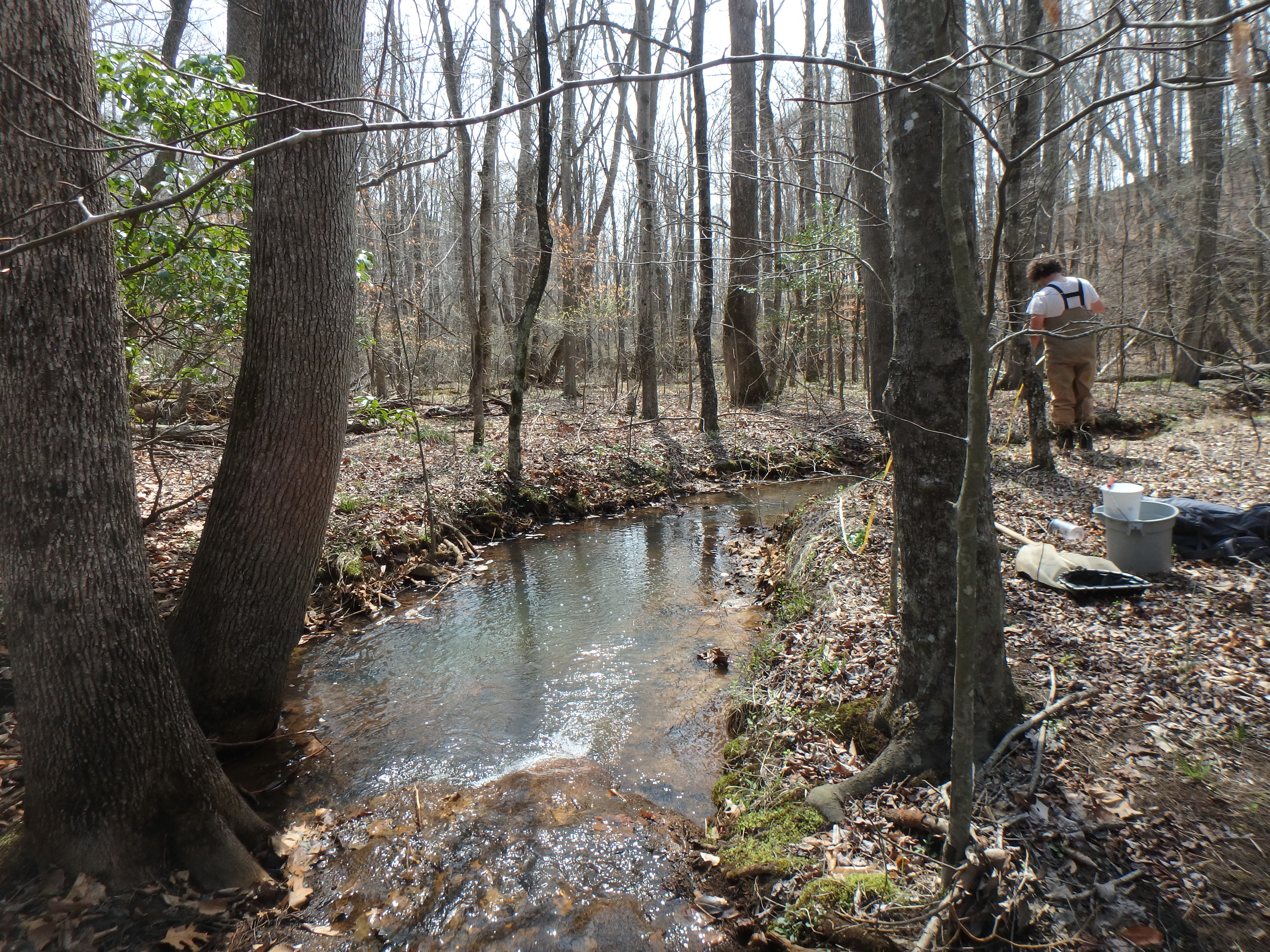Field photo showing stream conditions at site WCHE-106-R-2017-MidpointLookingDownstream