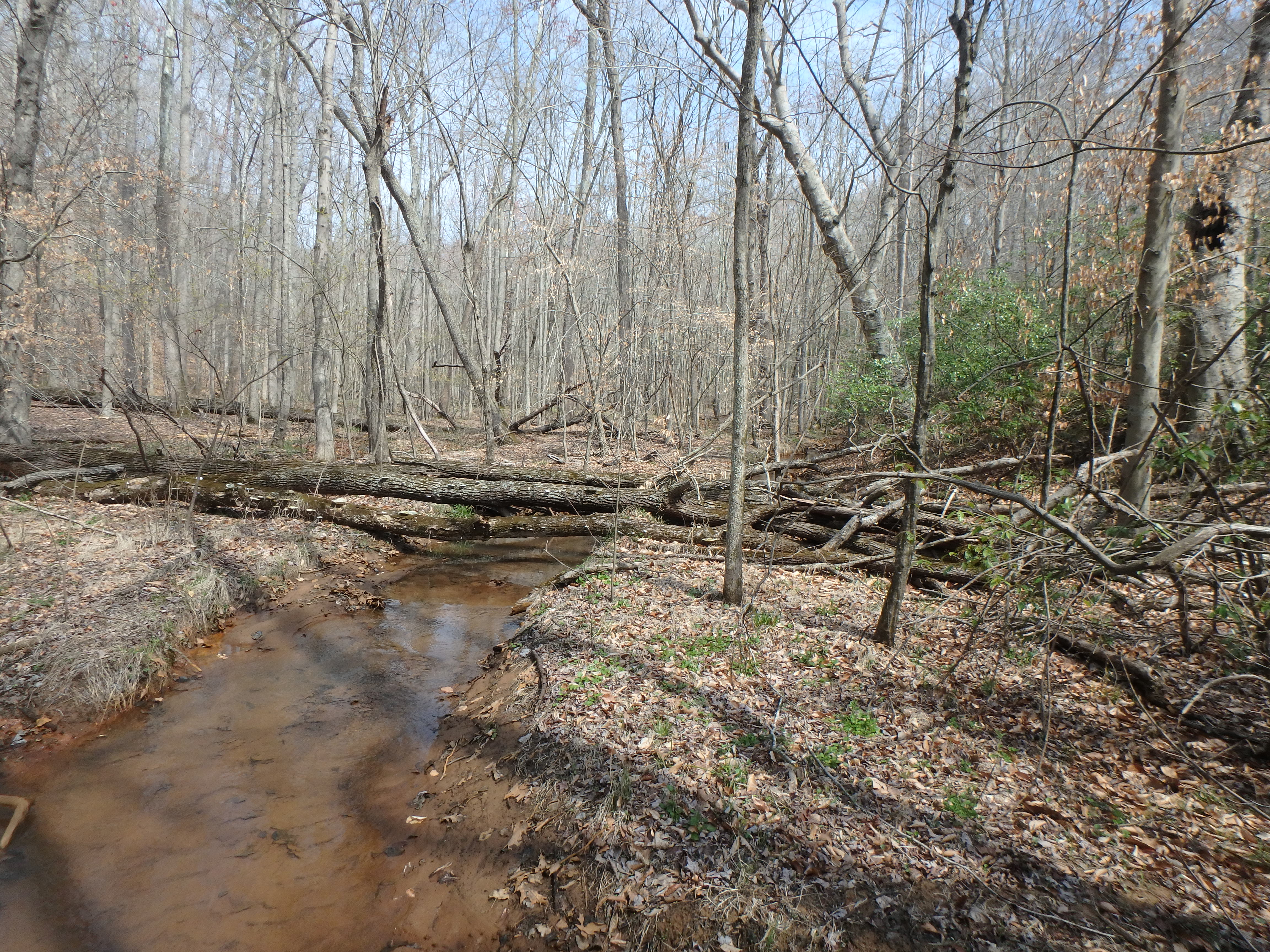 Field photo showing stream conditions at site WCHE-106-R-2017-MidpointLookingUpstream