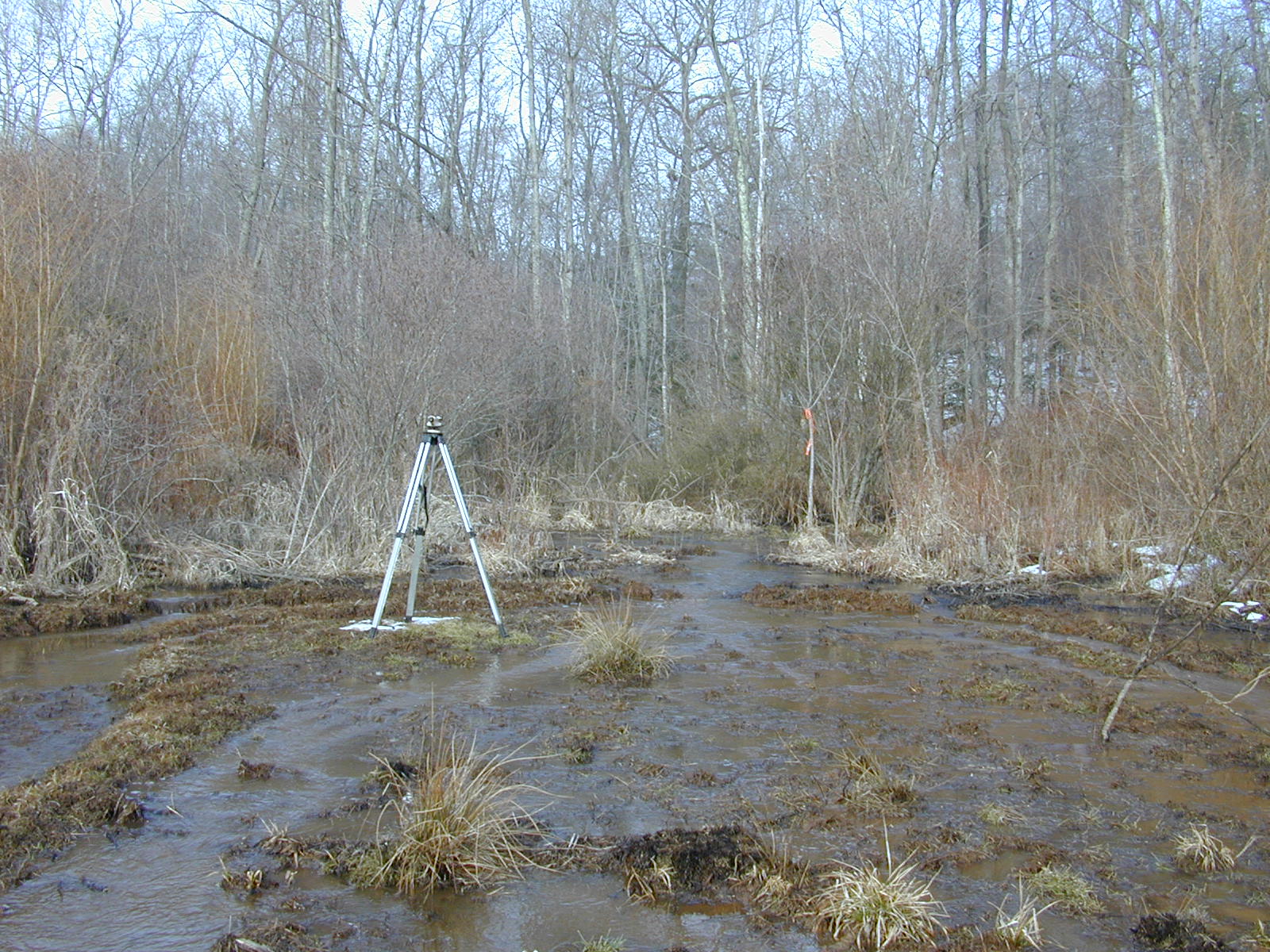 Field photo showing stream conditions at site WCHE-107-R-2003-0809
