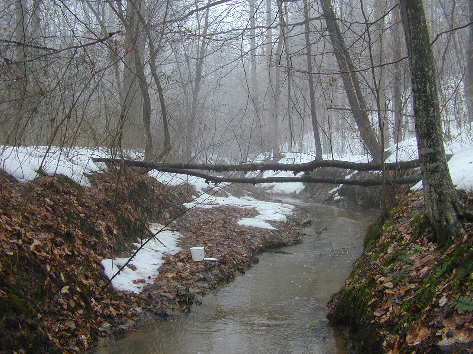 Field photo showing stream conditions at site WCHE-108-R-2003-0810