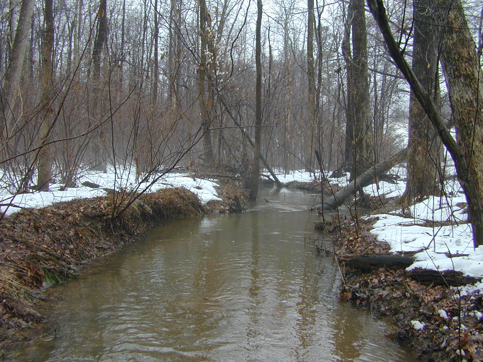 Field photo showing stream conditions at site WCHE-111-R-2003-0812