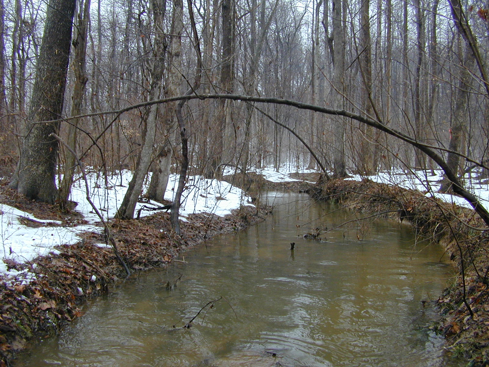 Field photo showing stream conditions at site WCHE-111-R-2003-0813