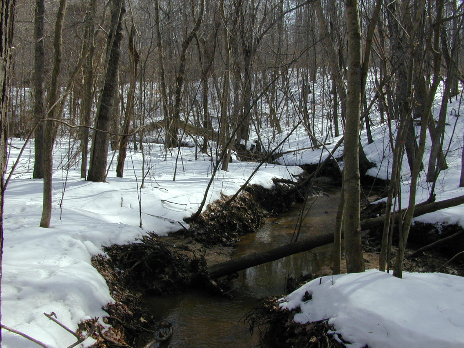 Field photo showing stream conditions at site WCHE-114-R-2003-0801