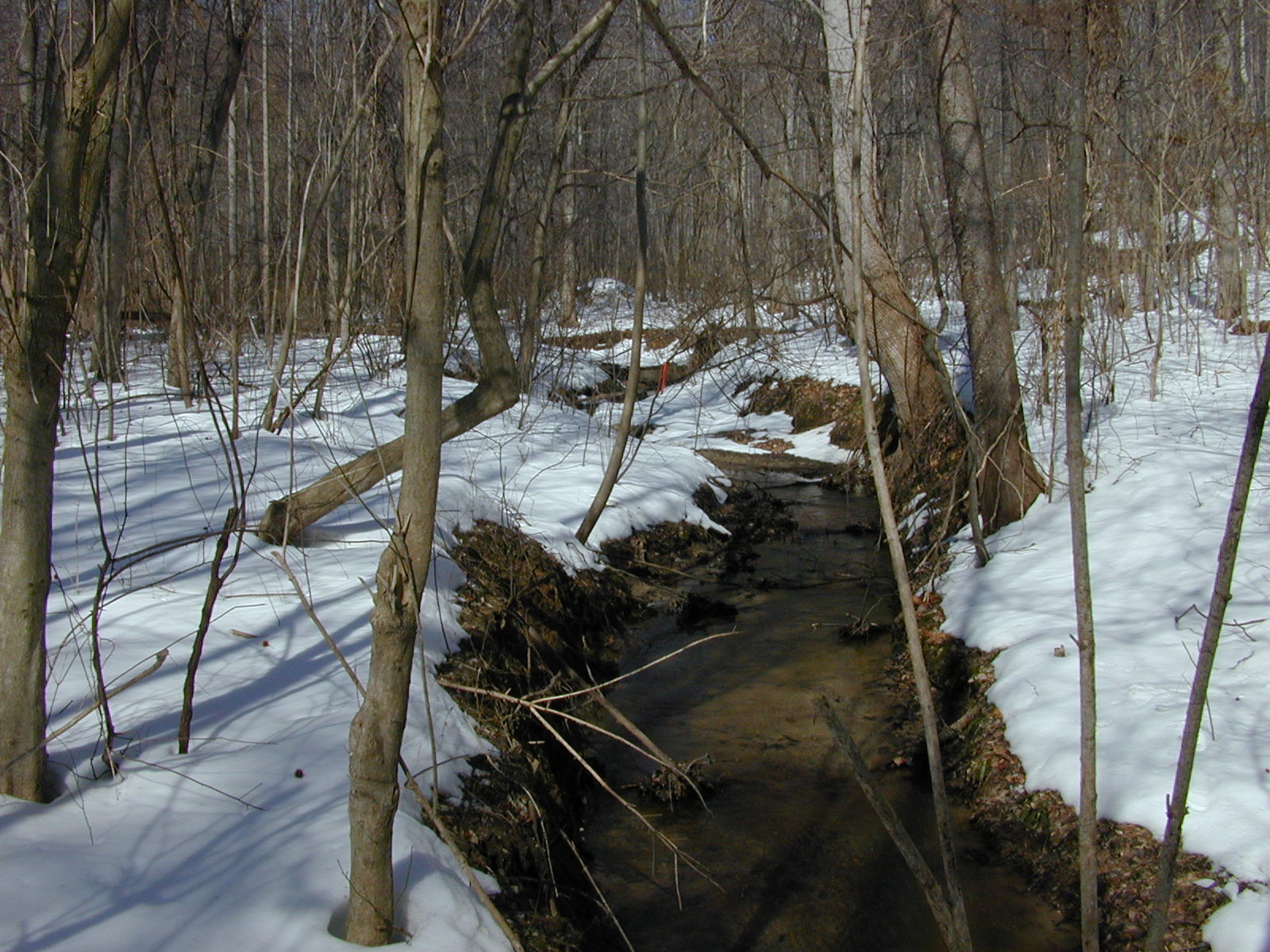 Field photo showing stream conditions at site WCHE-115-R-2003-0798