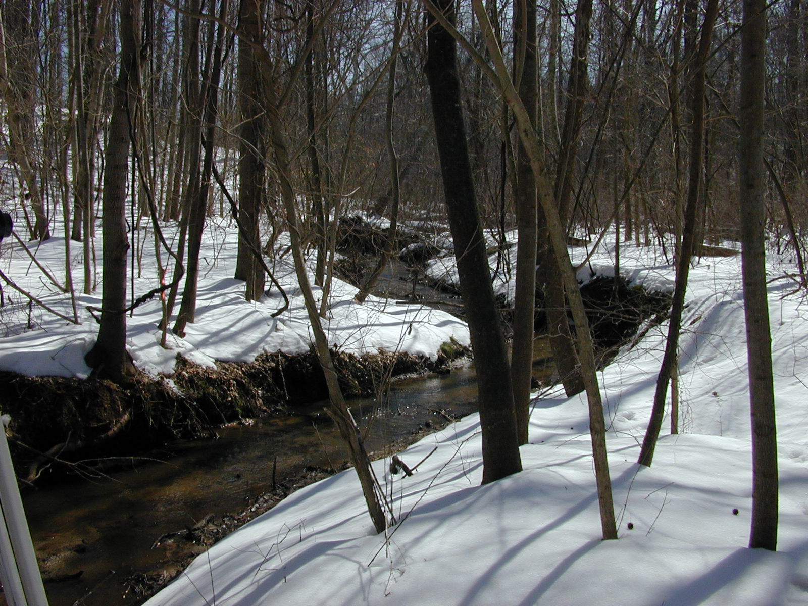 Field photo showing stream conditions at site WCHE-115-R-2003-0799