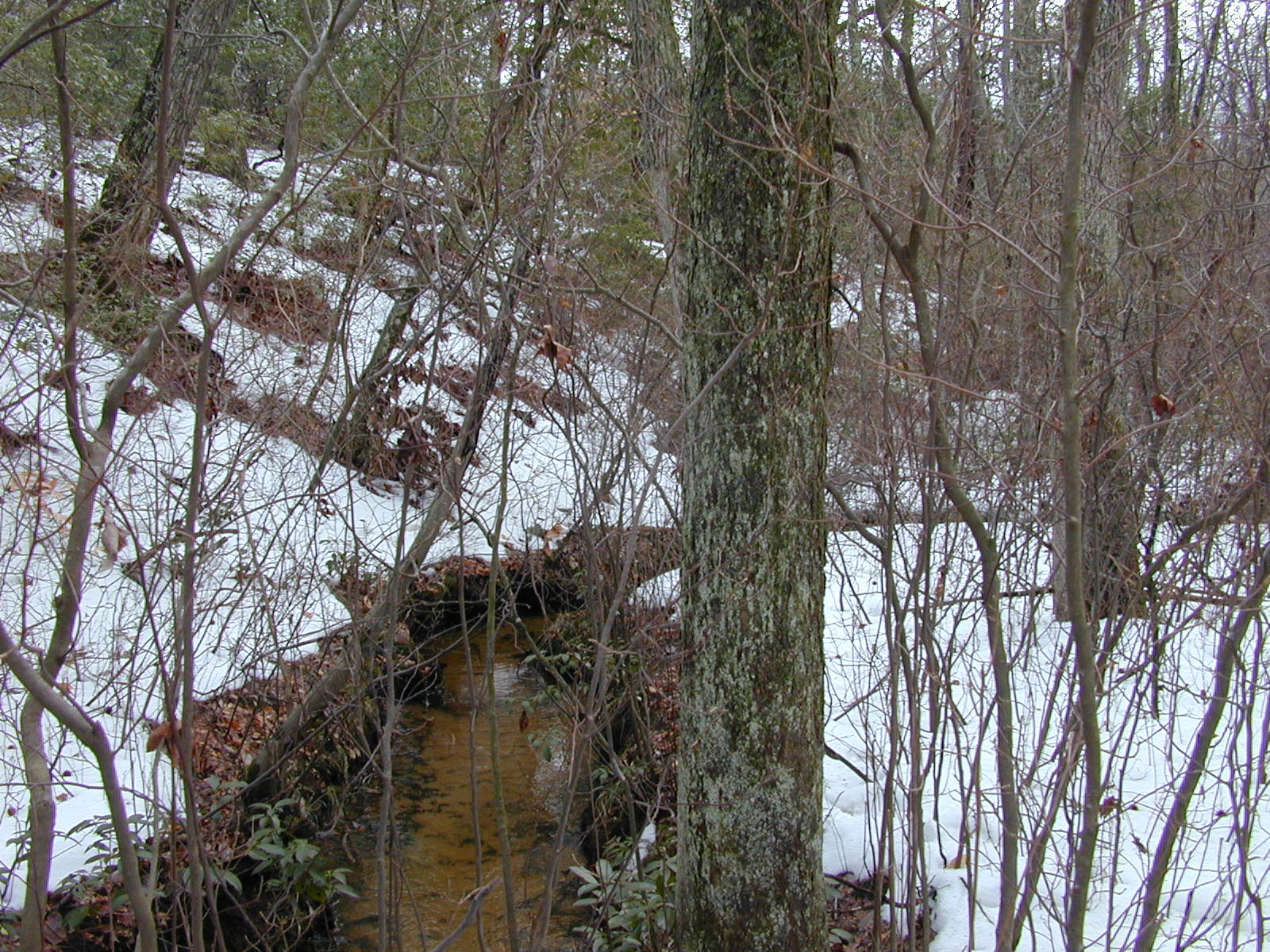 Field photo showing stream conditions at site WCHE-119-R-2003-0819