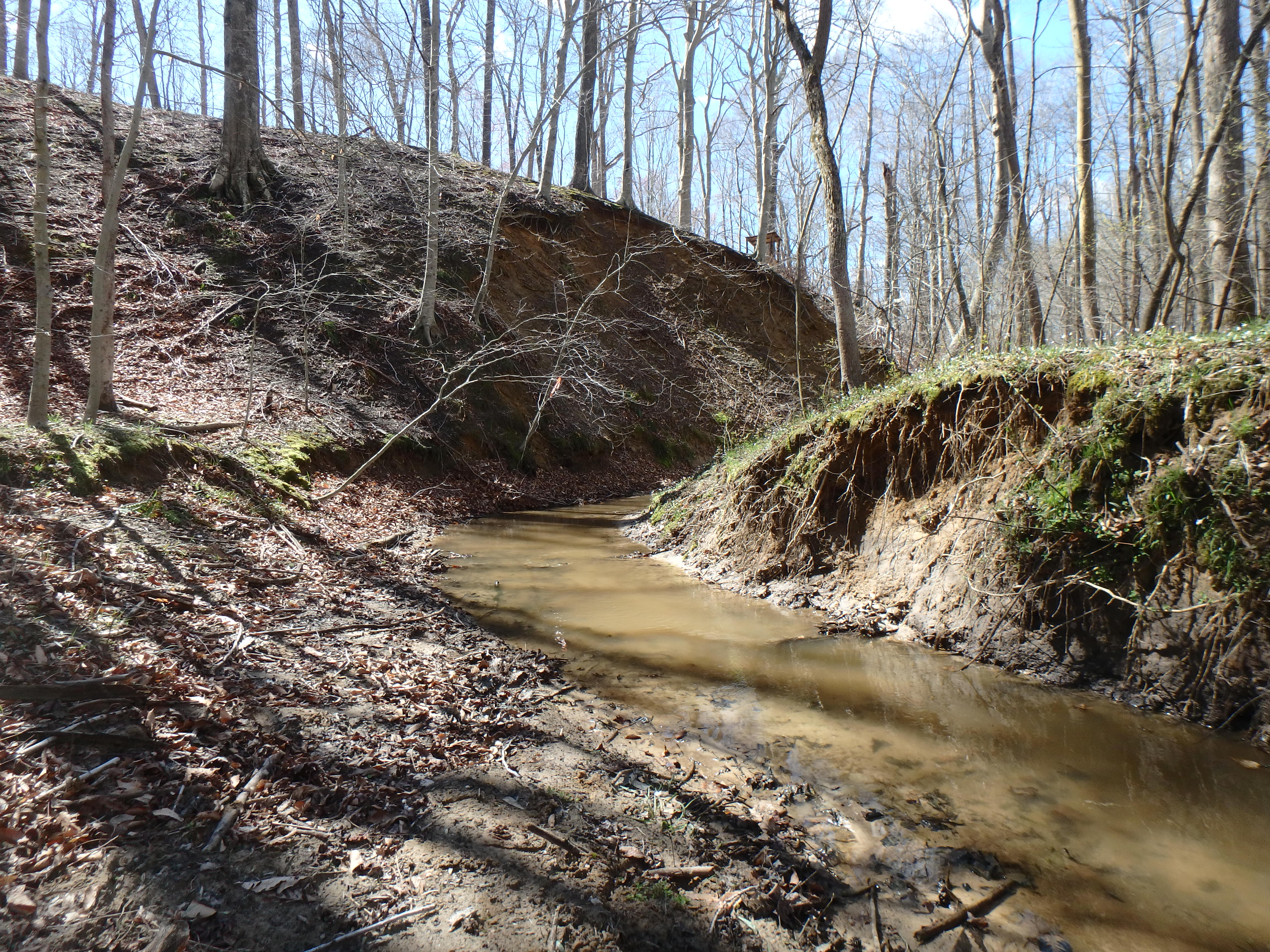 Field photo showing stream conditions at site WCHE-210-R-2017-MidpointLookingDownstream