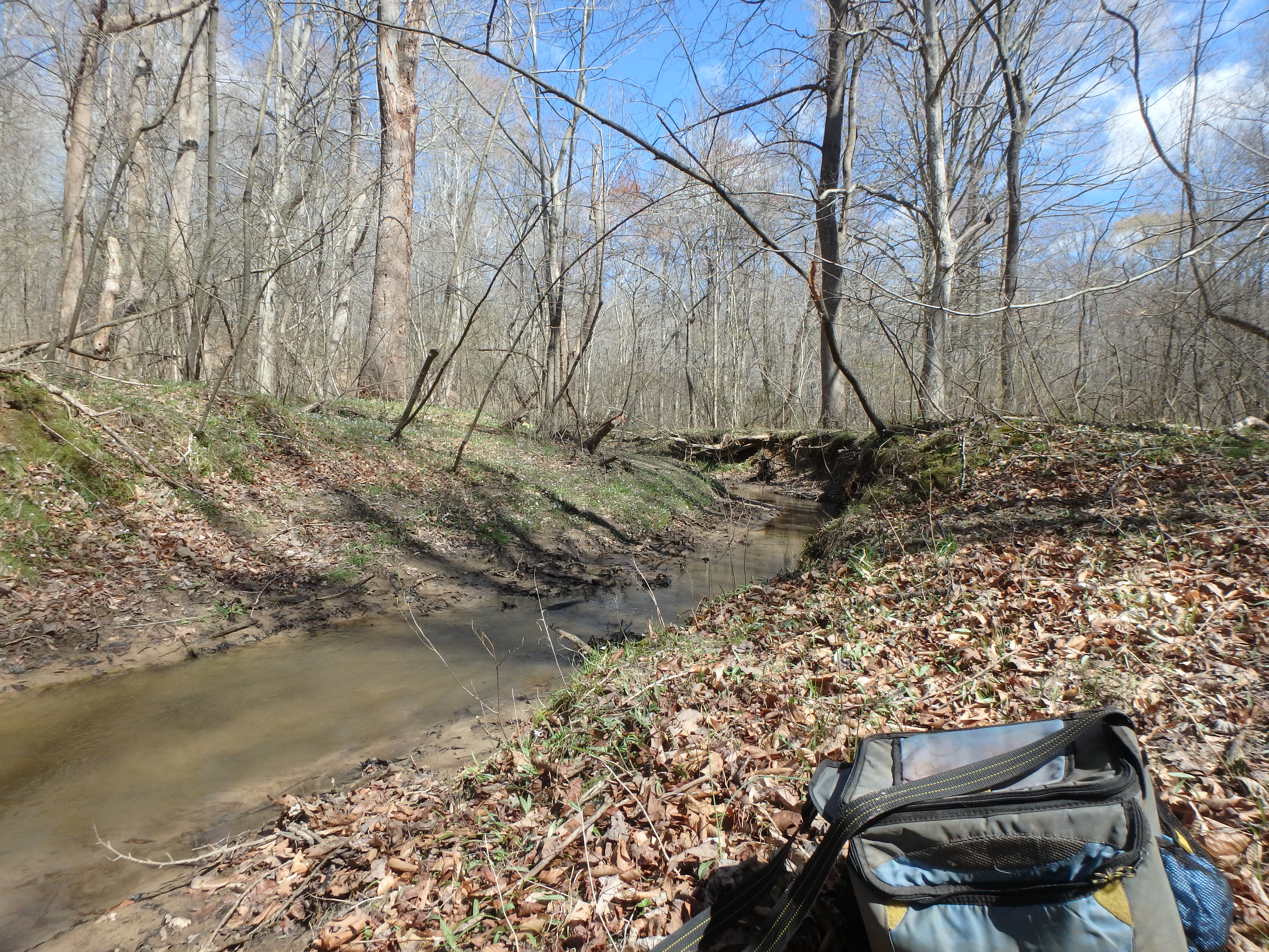 Field photo showing stream conditions at site WCHE-210-R-2017-MidpointLookingUpstream