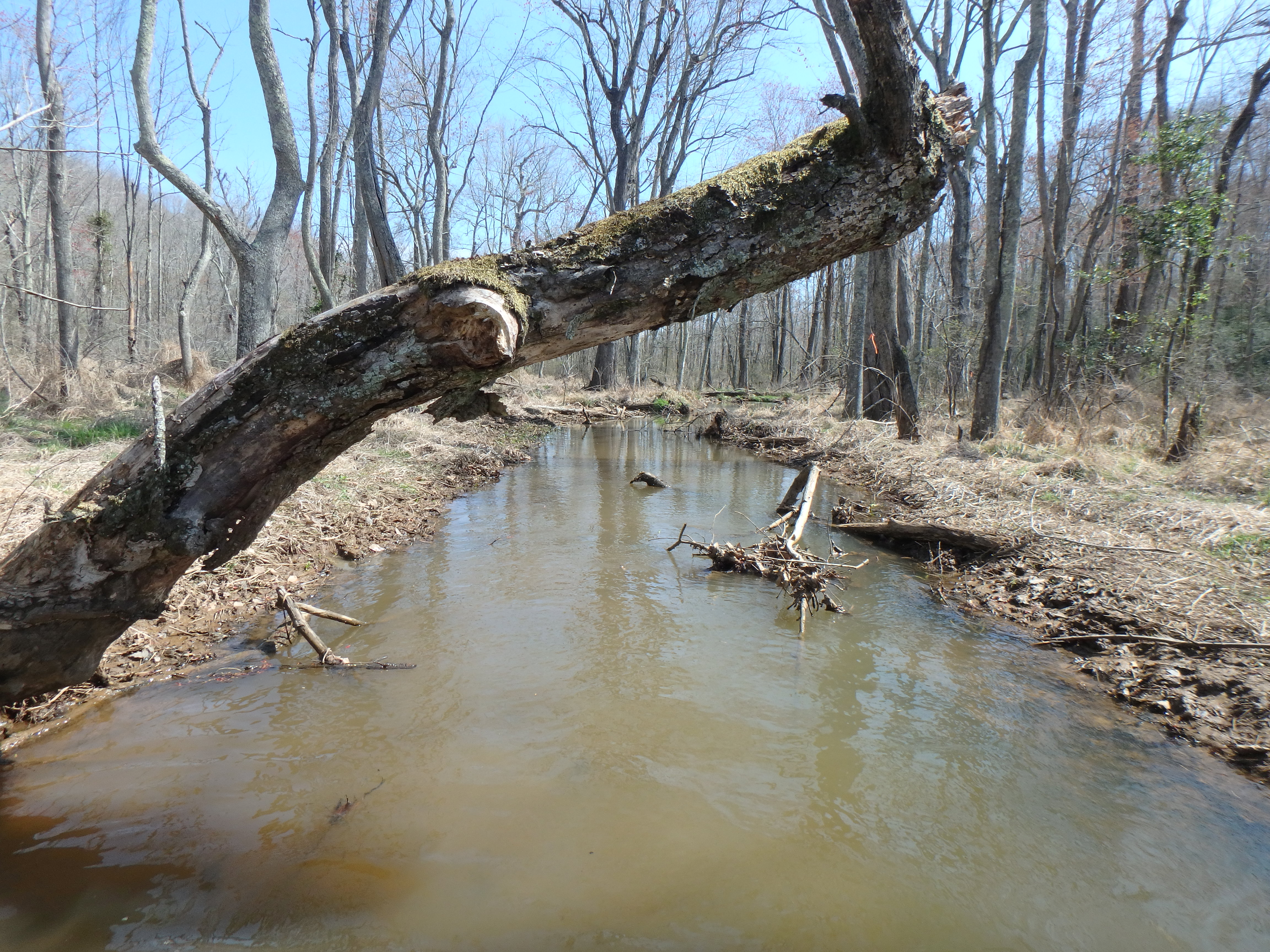 Field photo showing stream conditions at site WCHE-212-R-2017-MidpointLookingDownstream