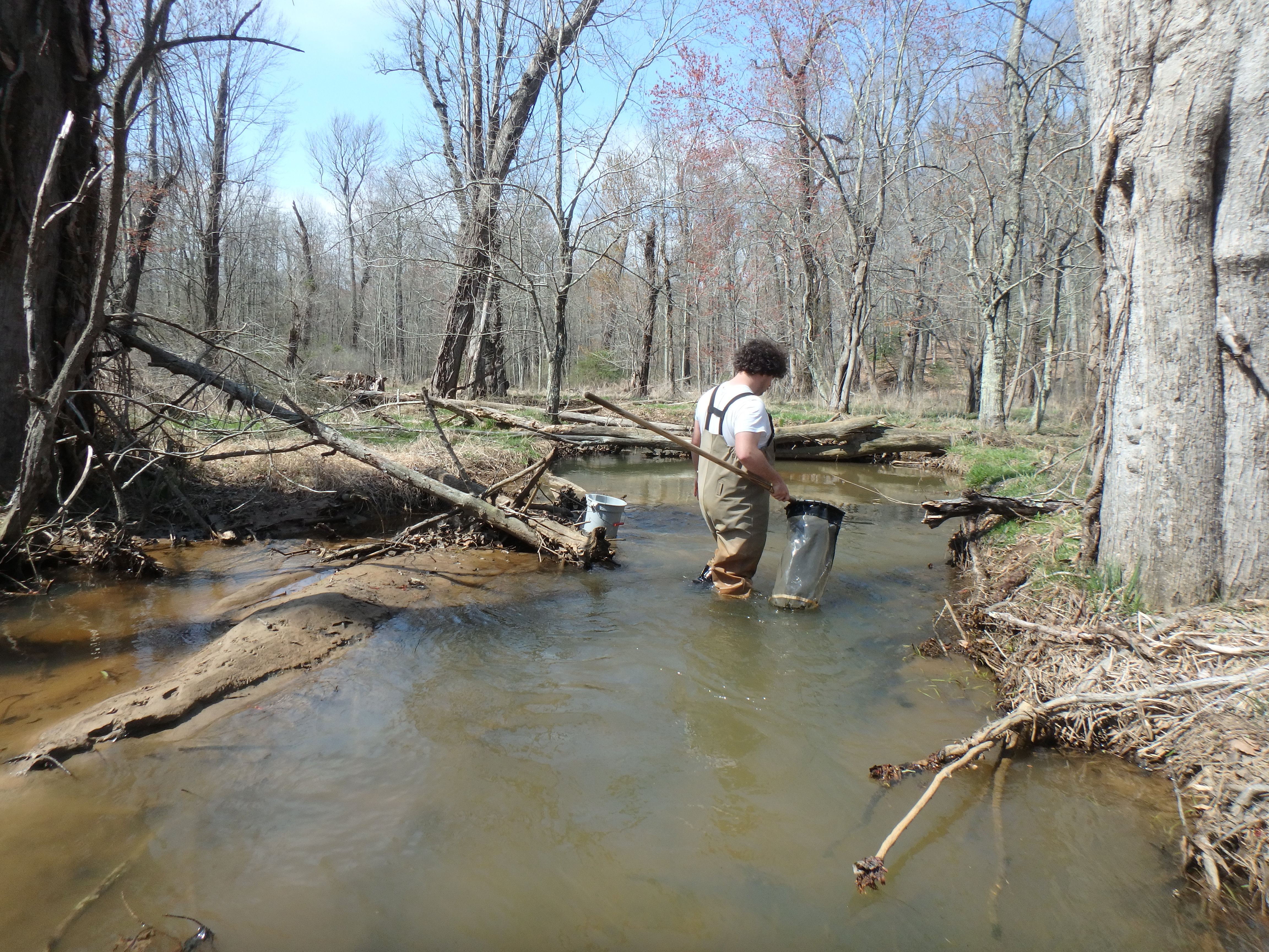 Field photo showing stream conditions at site WCHE-212-R-2017-MidpointLookingUpstream