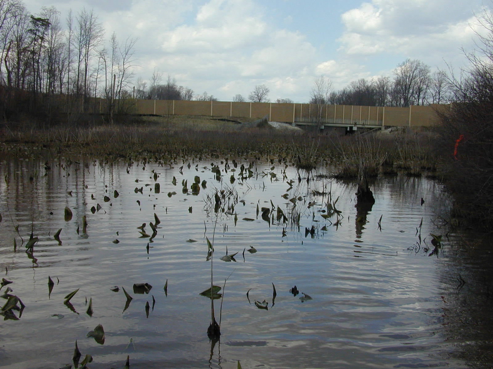 Field photo showing stream conditions at site WEBR-104-R-2001-34