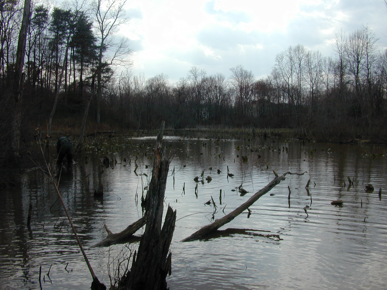 Field photo showing stream conditions at site WEBR-104-R-2001-35