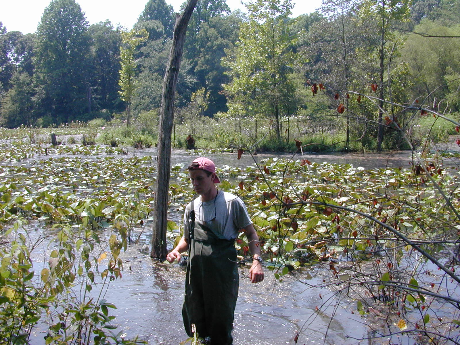 Field photo showing stream conditions at site WEBR-104-R-2001-38