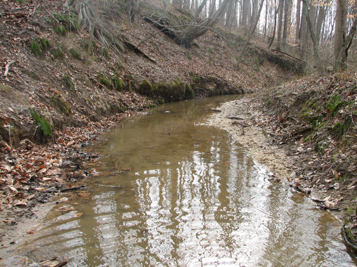 Field photo showing stream conditions at site WEBR-104-R-2008-1