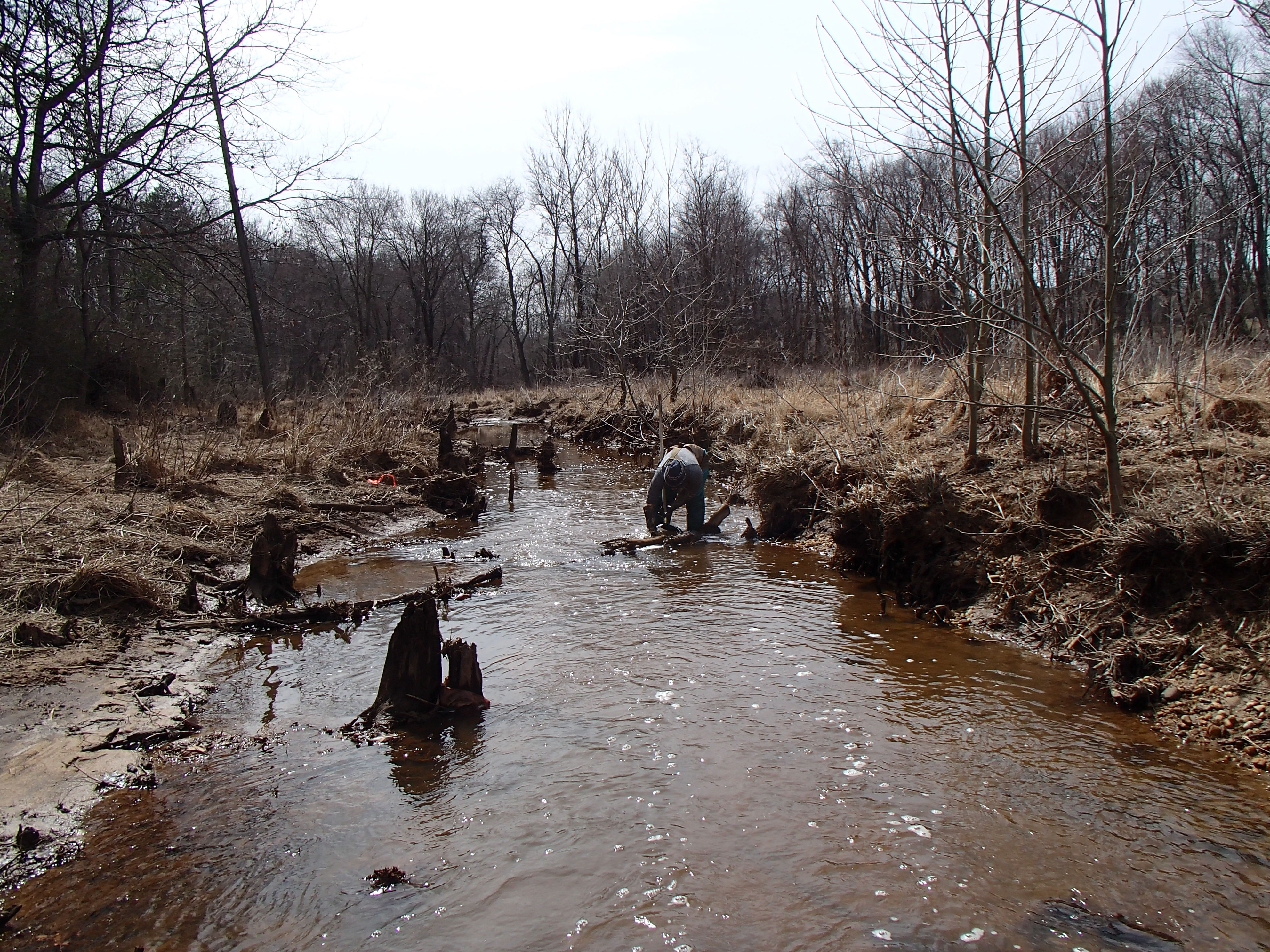 Field photo showing stream conditions at site WEBR-104-R-2015_Midpoint-downstream