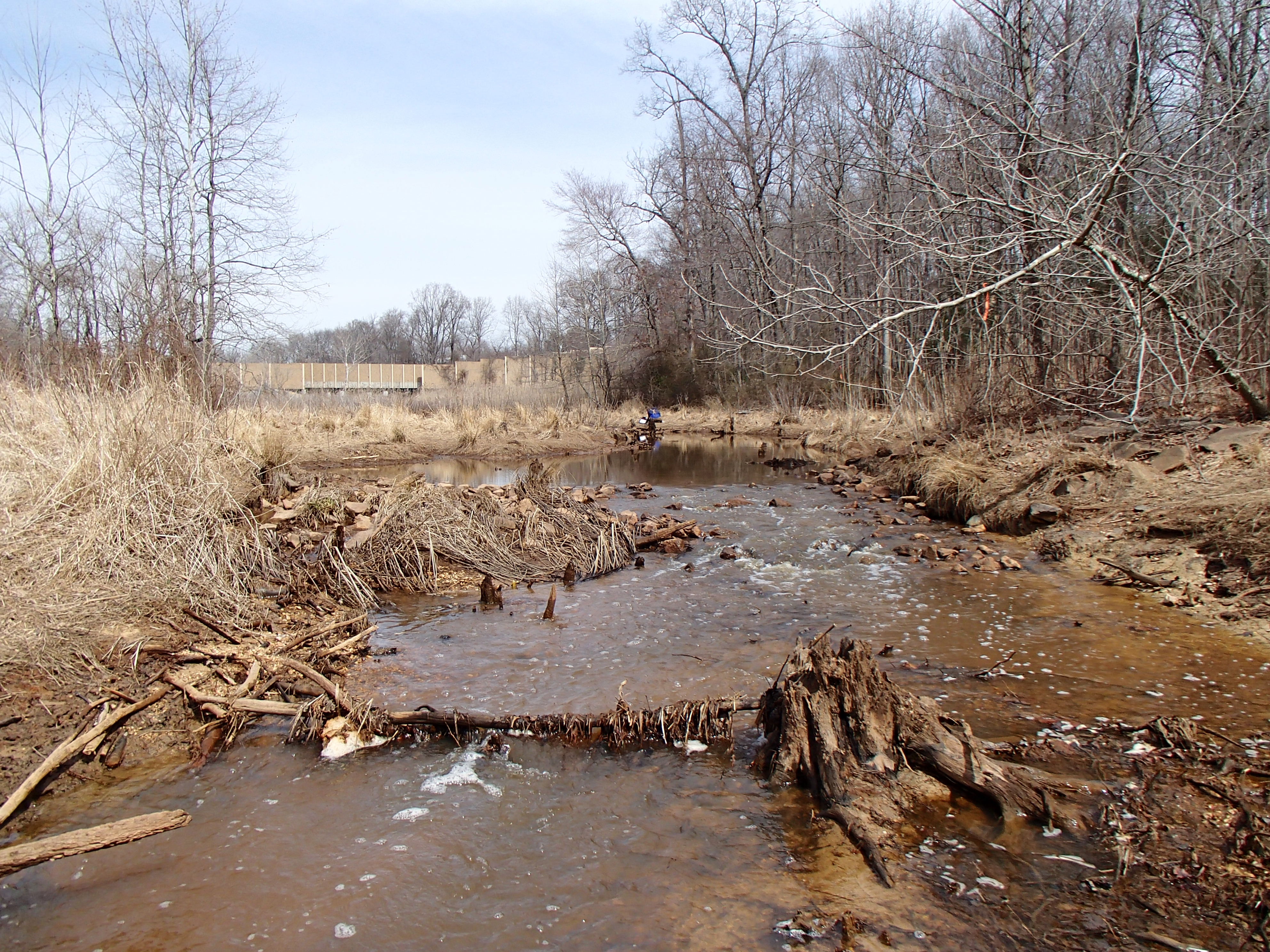 Field photo showing stream conditions at site WEBR-104-R-2015_Midpoint-upstream