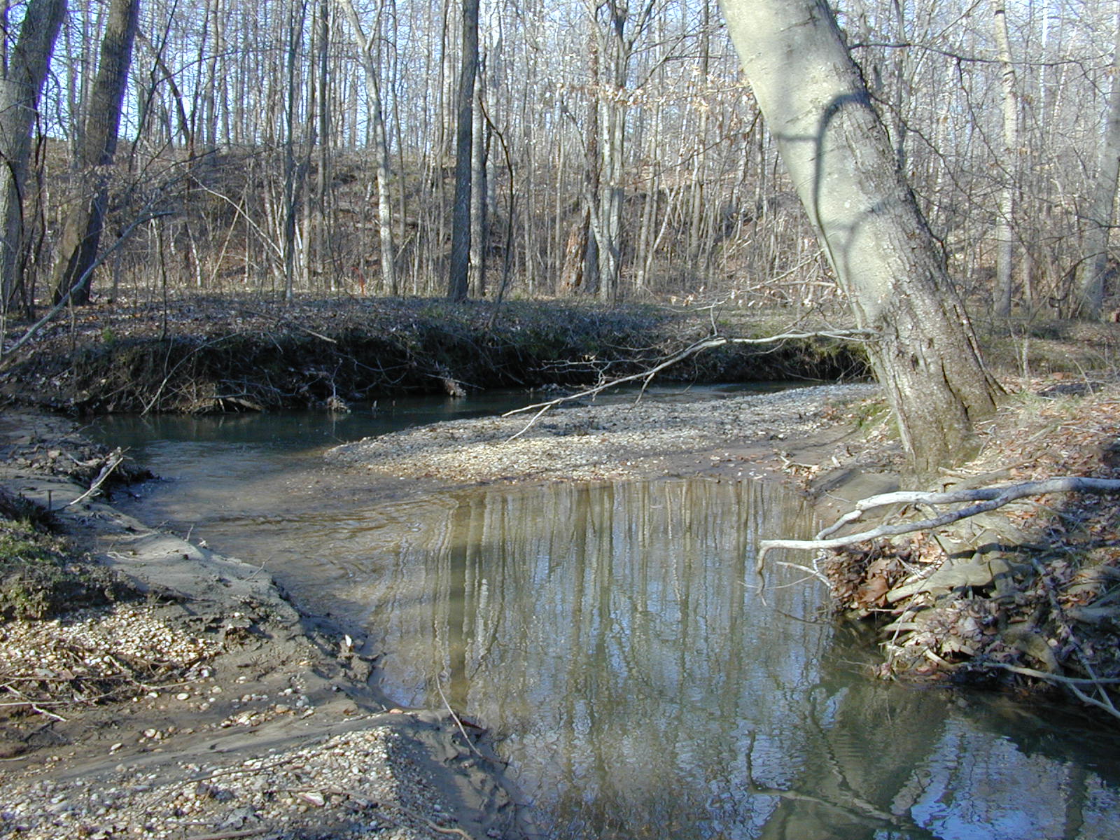 Field photo showing stream conditions at site WEBR-105-R-2001-147