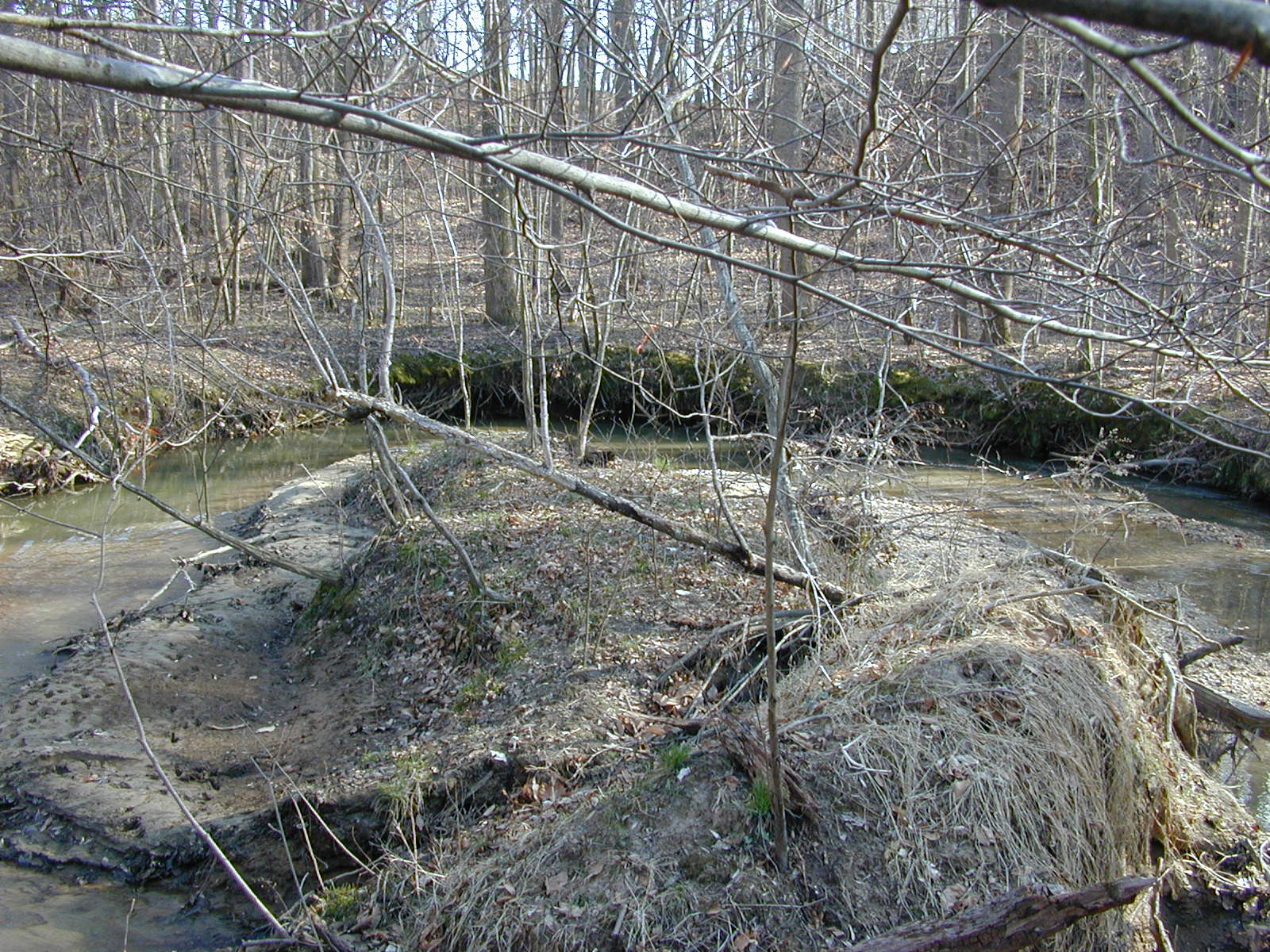 Field photo showing stream conditions at site WEBR-105-R-2001-148
