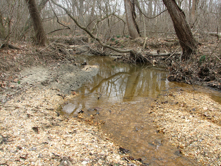 Field photo showing stream conditions at site WEBR-105-R-2008-1