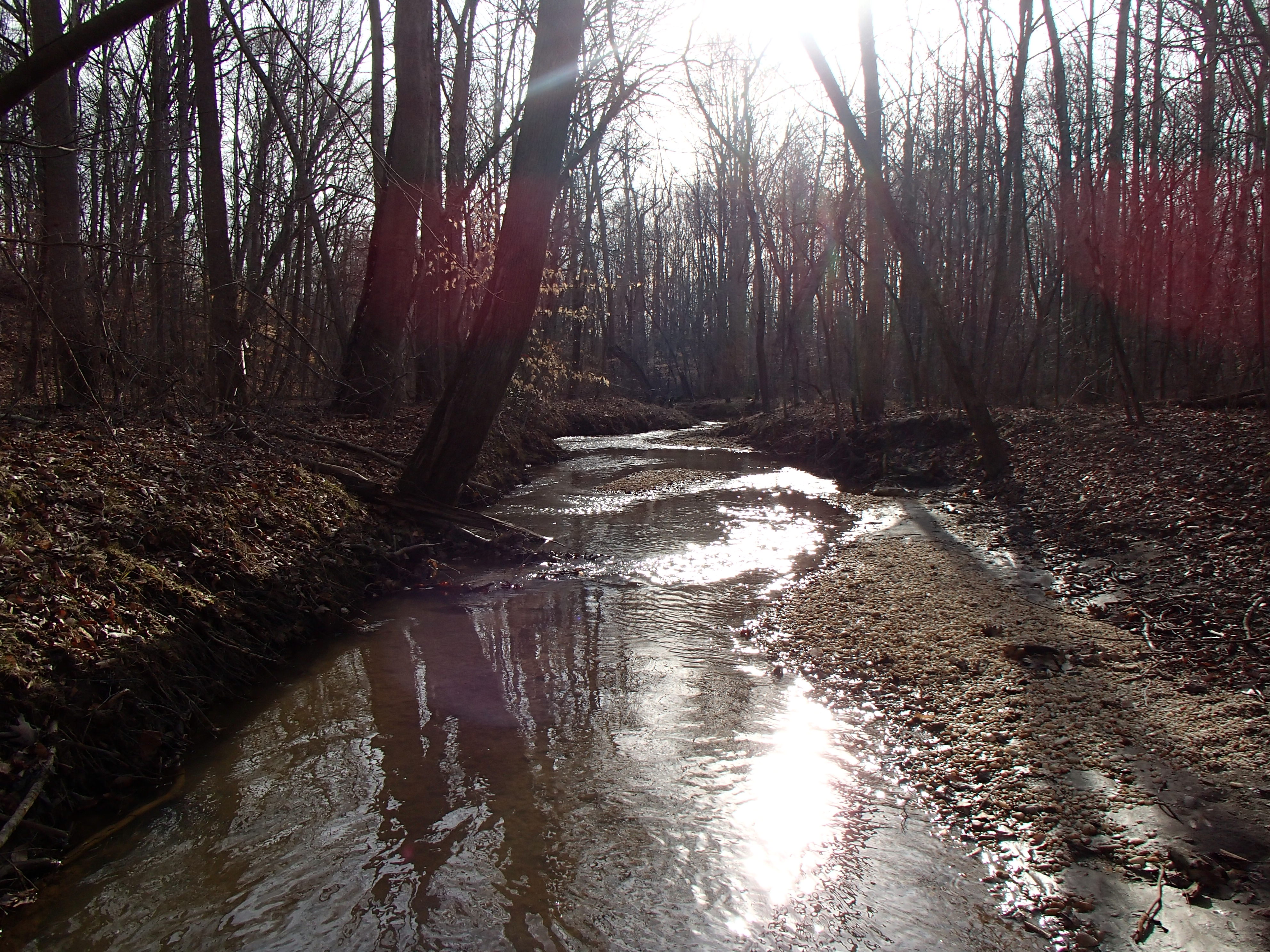 Field photo showing stream conditions at site WEBR-105-R-2015_Midpoint-downstream