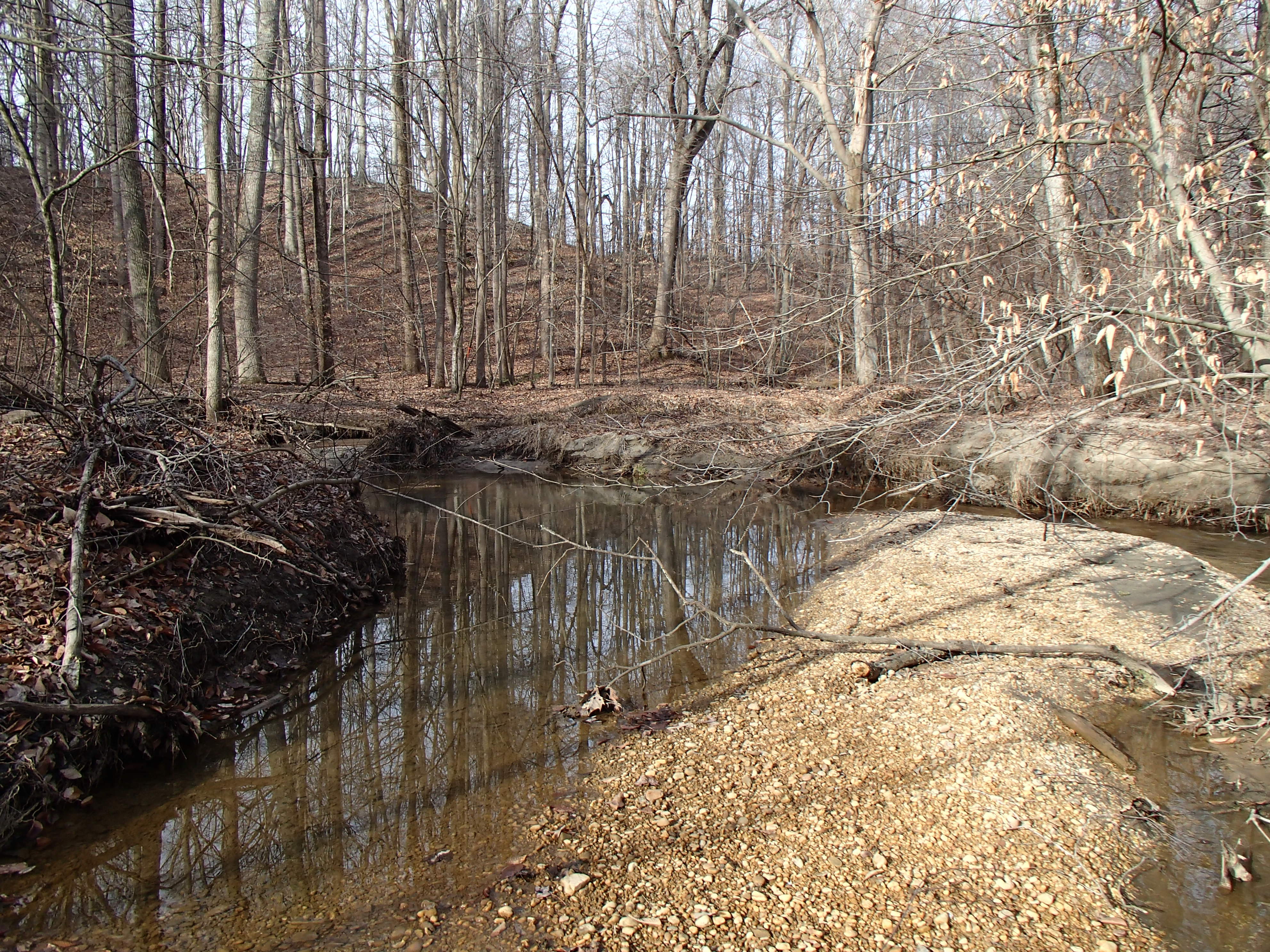 Field photo showing stream conditions at site WEBR-105-R-2015_Midpoint-upstream
