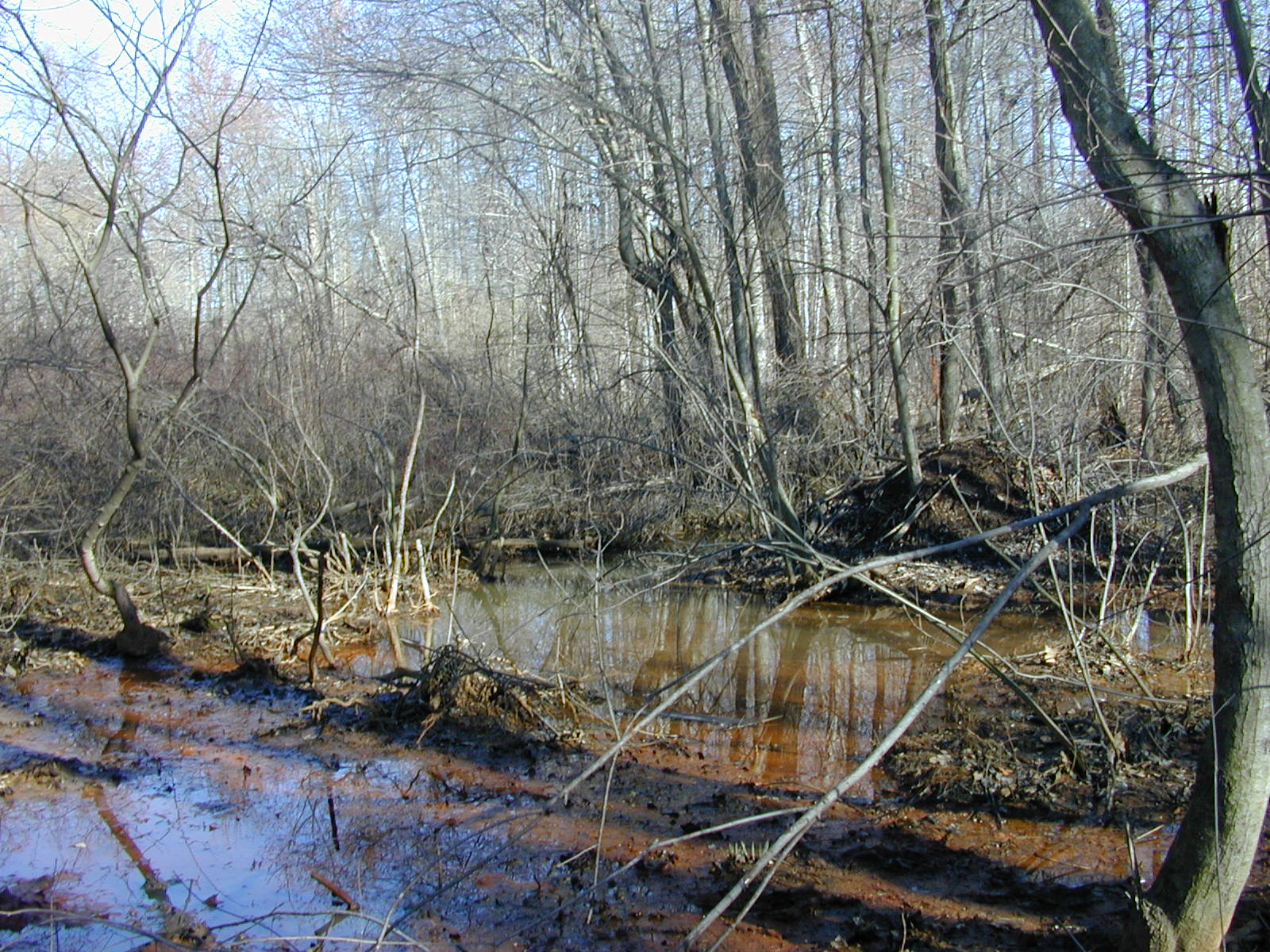 Field photo showing stream conditions at site WEBR-107-R-2001-27