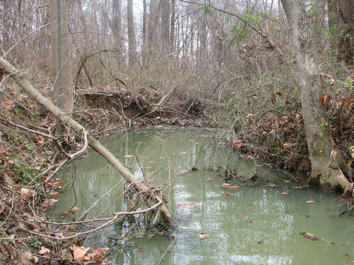 Field photo showing stream conditions at site WEBR-107-R-2008-1