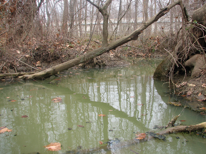 Field photo showing stream conditions at site WEBR-107-R-2008-2