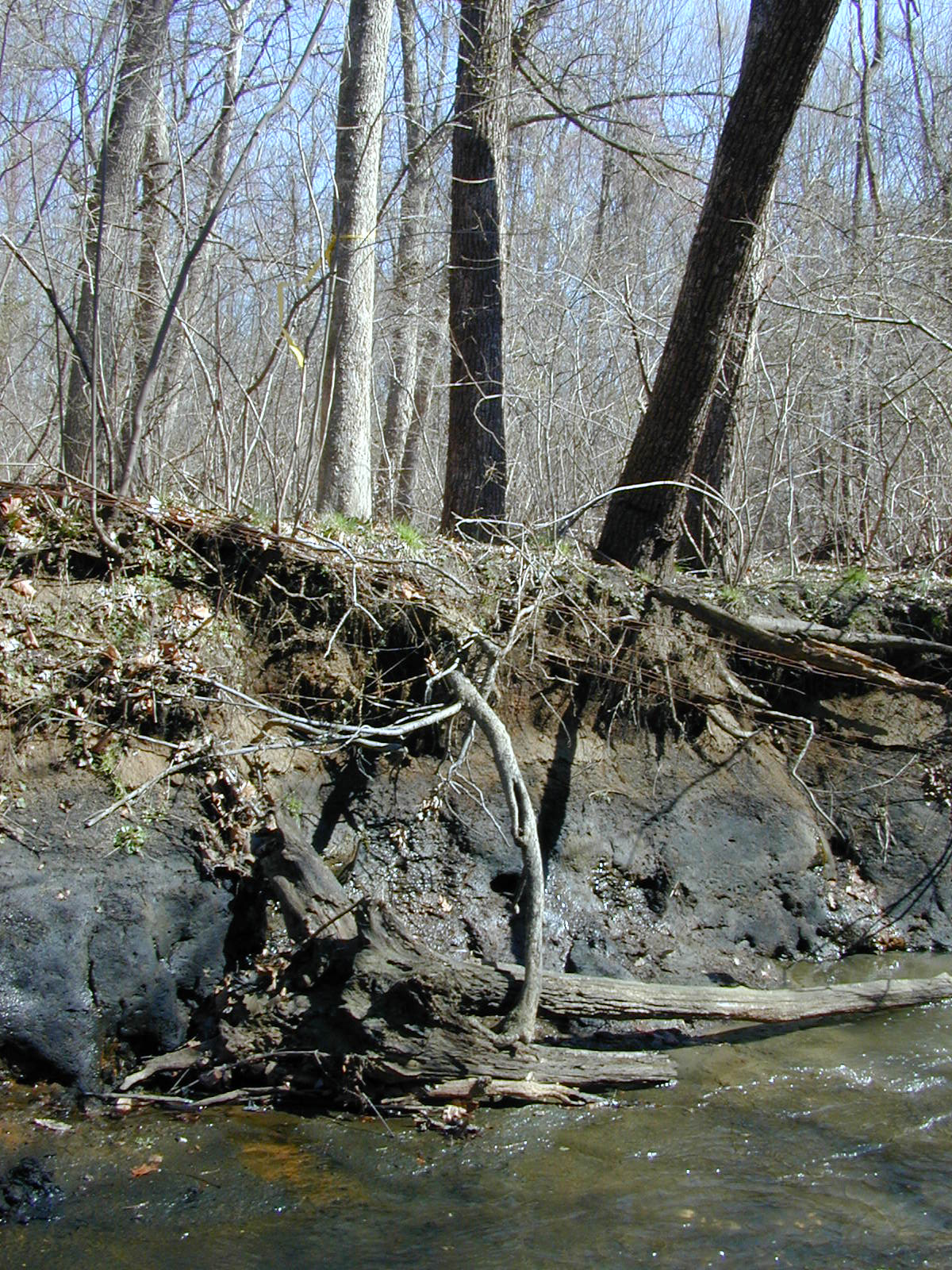 Field photo showing stream conditions at site WEBR-110-R-2001-157