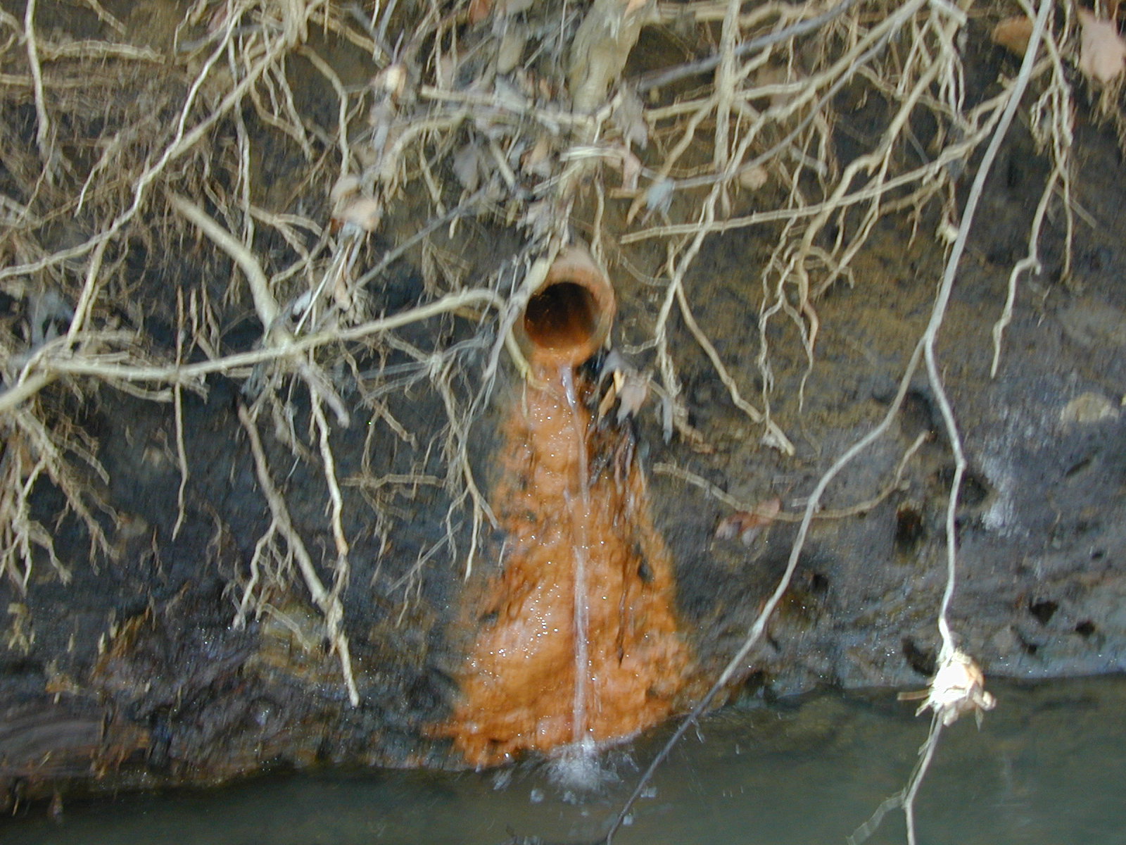 Field photo showing stream conditions at site WEBR-110-R-2001-160