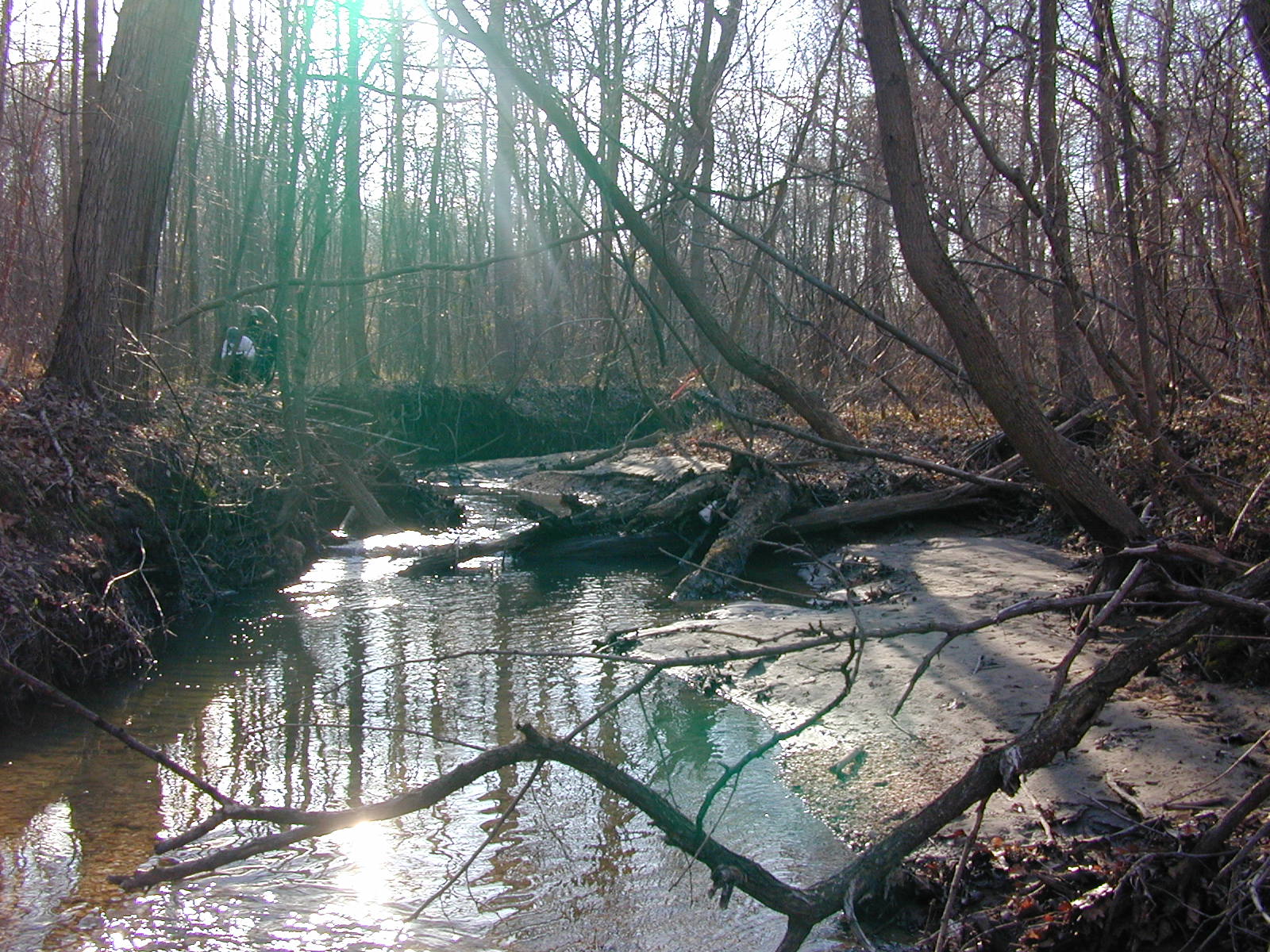 Field photo showing stream conditions at site WEBR-111-R-2001-150