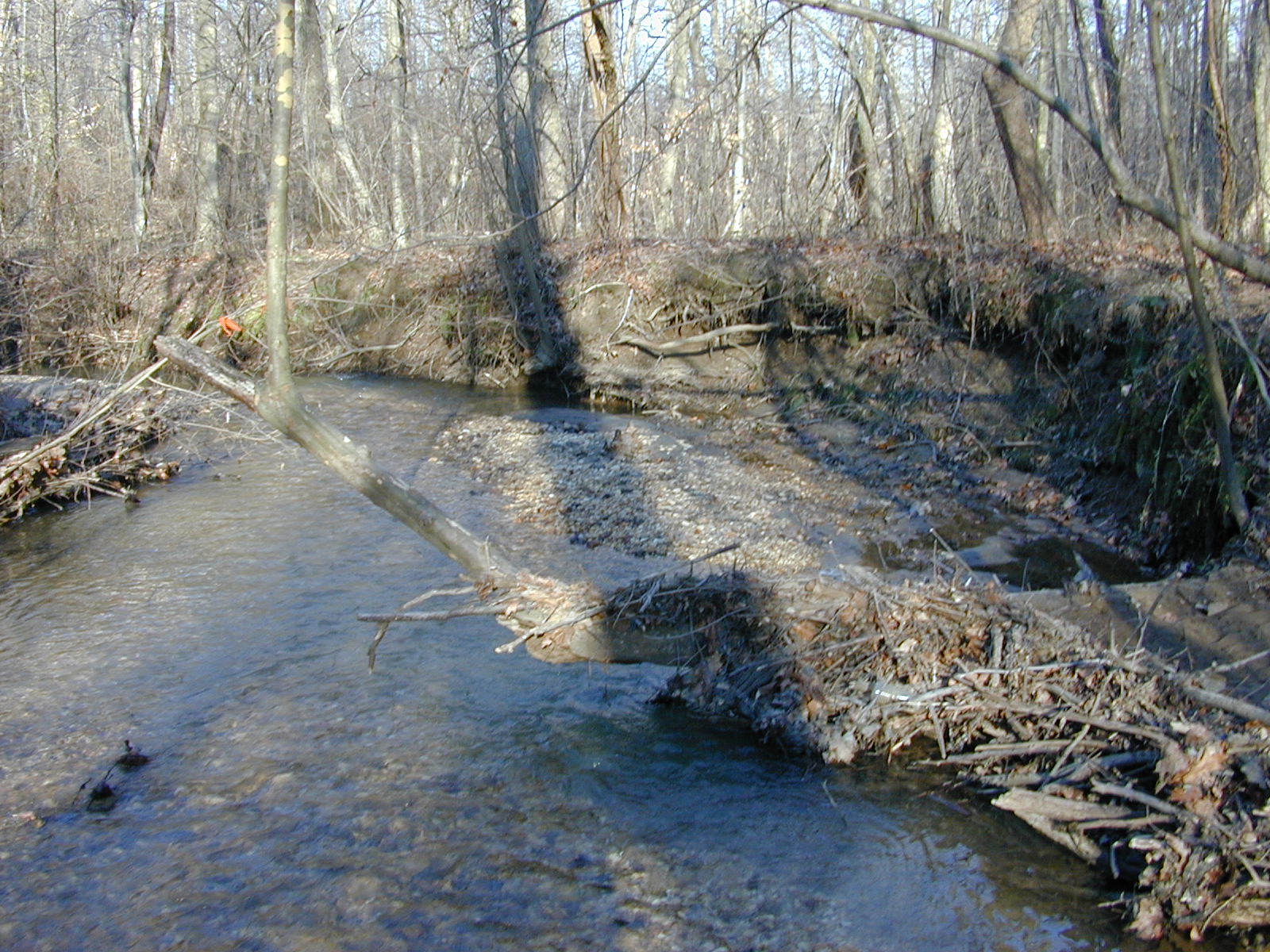 Field photo showing stream conditions at site WEBR-111-R-2001-151