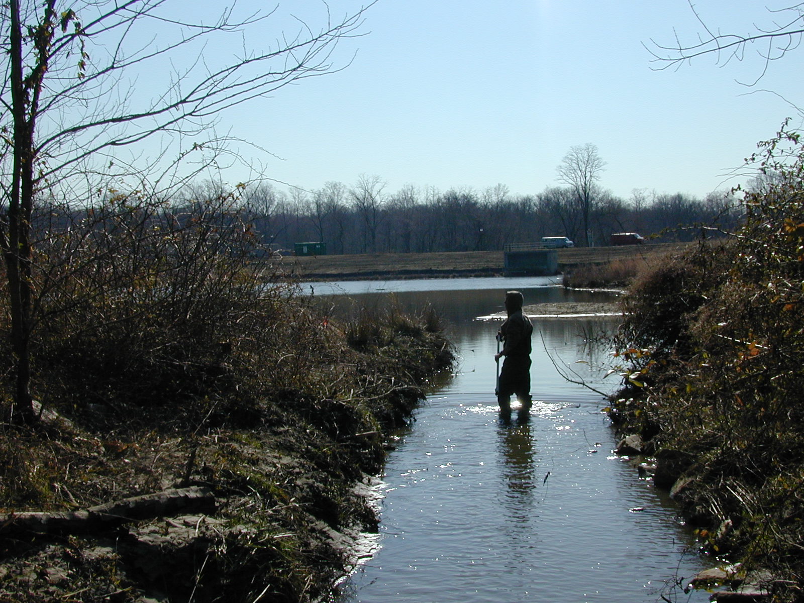Field photo showing stream conditions at site WEBR-113-R-2001-154