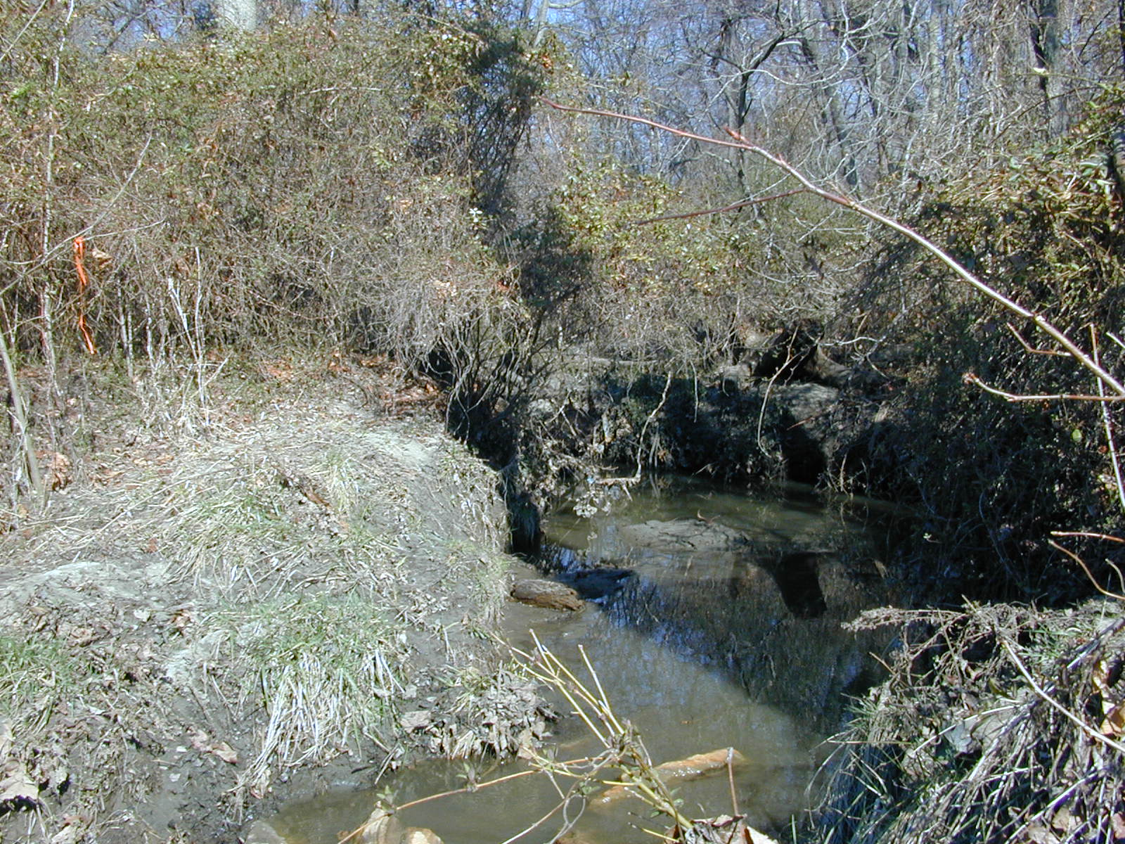 Field photo showing stream conditions at site WEBR-113-R-2001-156