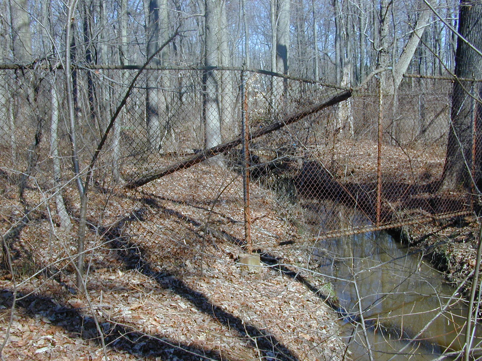 Field photo showing stream conditions at site WEBR-116-R-2001-29