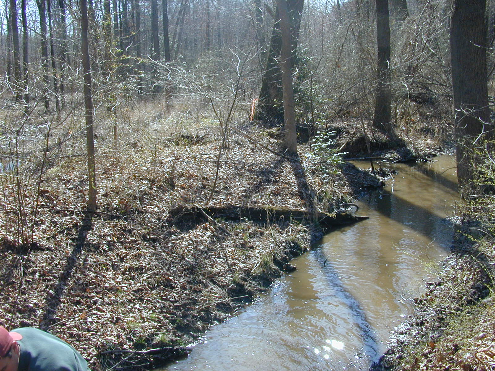 Field photo showing stream conditions at site WEBR-116-R-2001-30