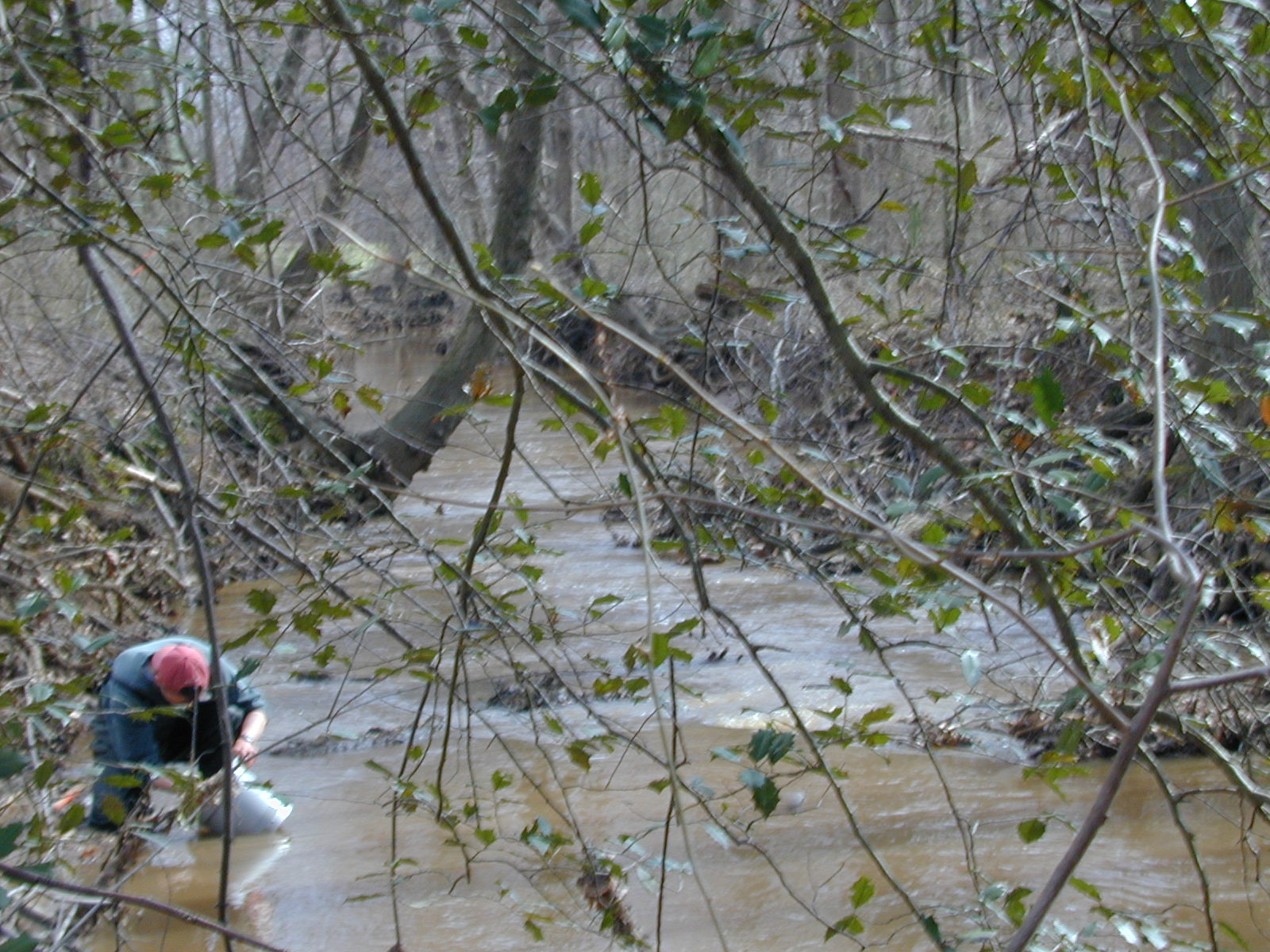 Field photo showing stream conditions at site WEBR-201-R-2001-118