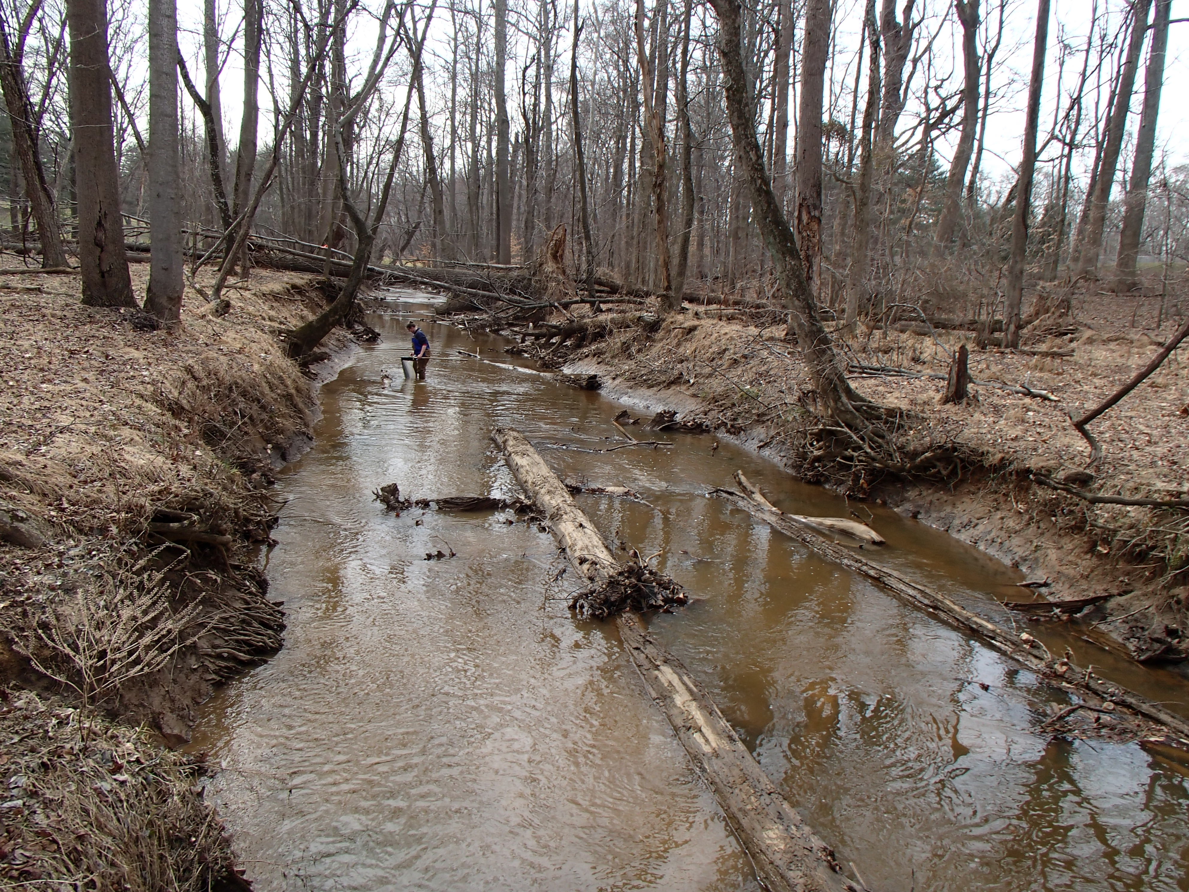 Field photo showing stream conditions at site WEBR-201-R-2015_Midpoint-downstream