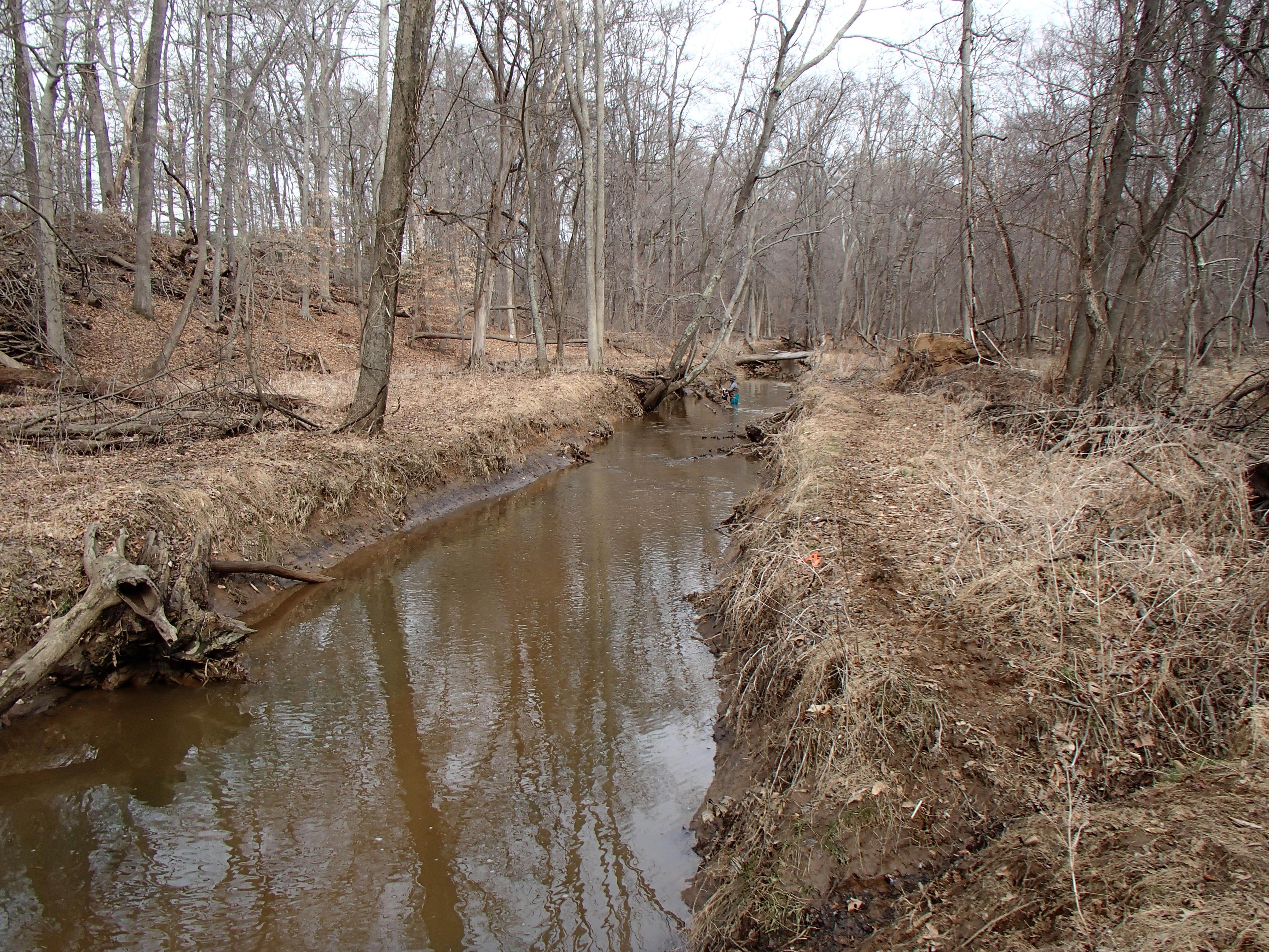 Field photo showing stream conditions at site WEBR-201-R-2015_Midpoint-upstream