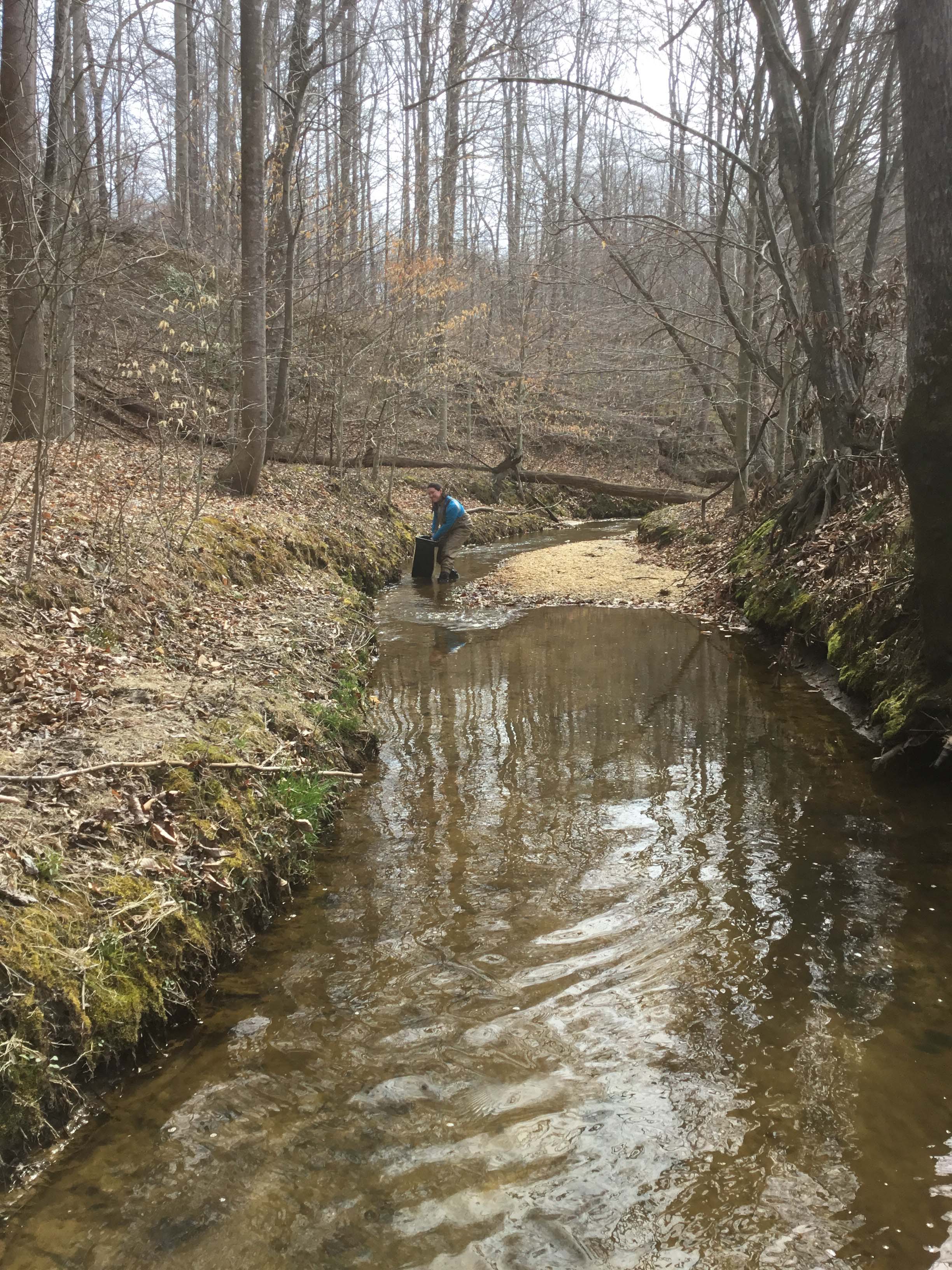 Field photo showing stream conditions at site WEBR-201-R-2021_Midpoint-facing-down-stream