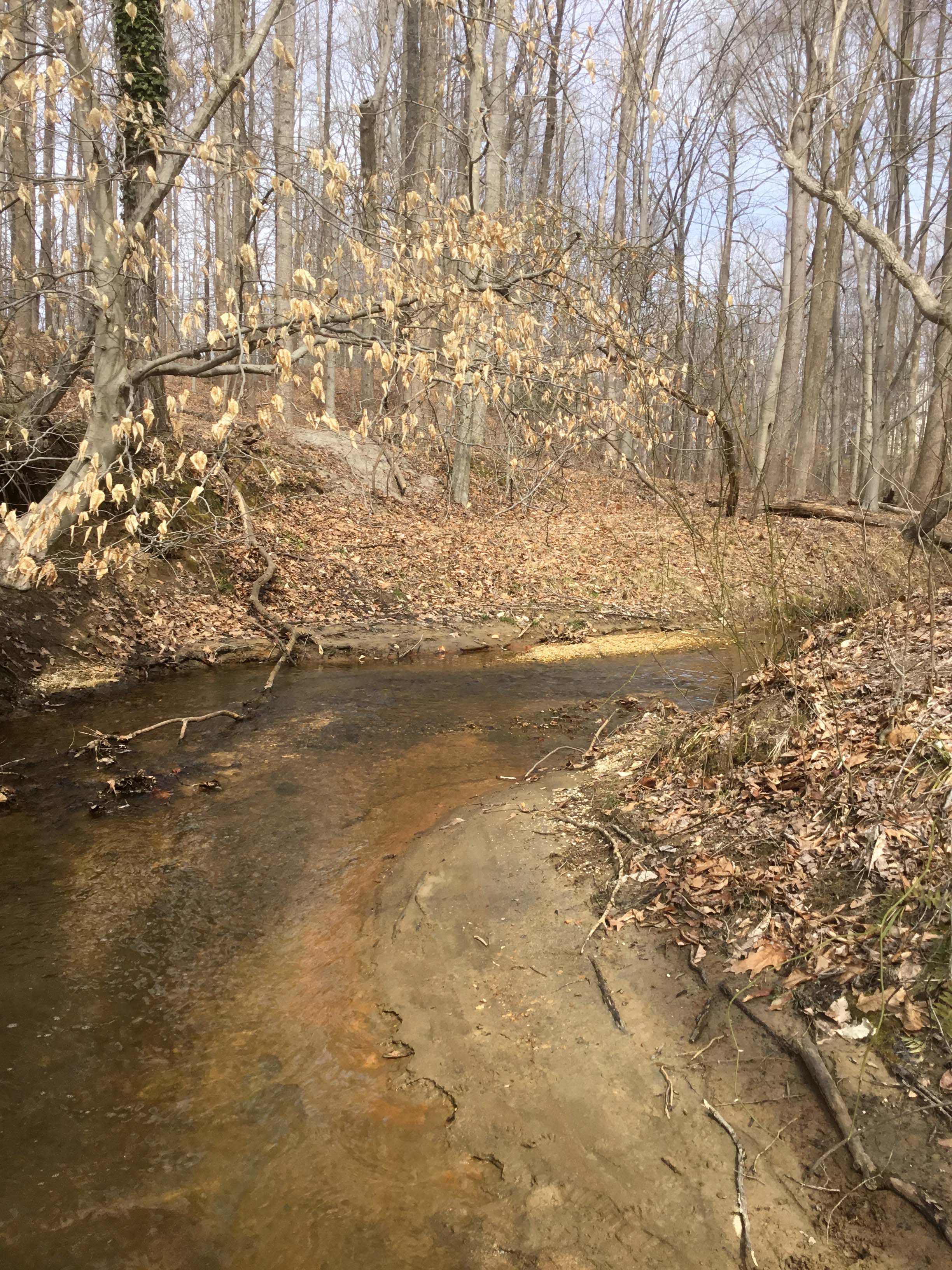 Field photo showing stream conditions at site WEBR-201-R-2021_Midpoint-facing-upstream