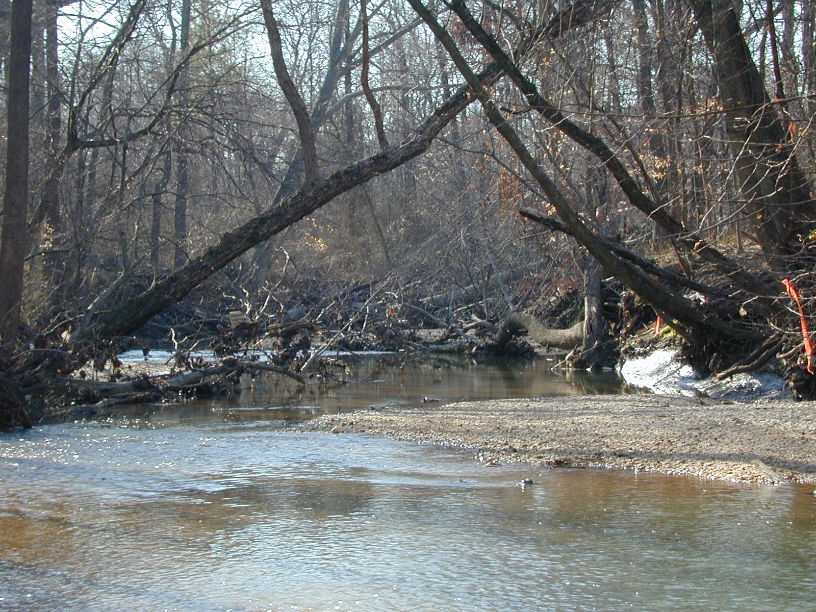 Field photo showing stream conditions at site WEBR-212-R-2001-152