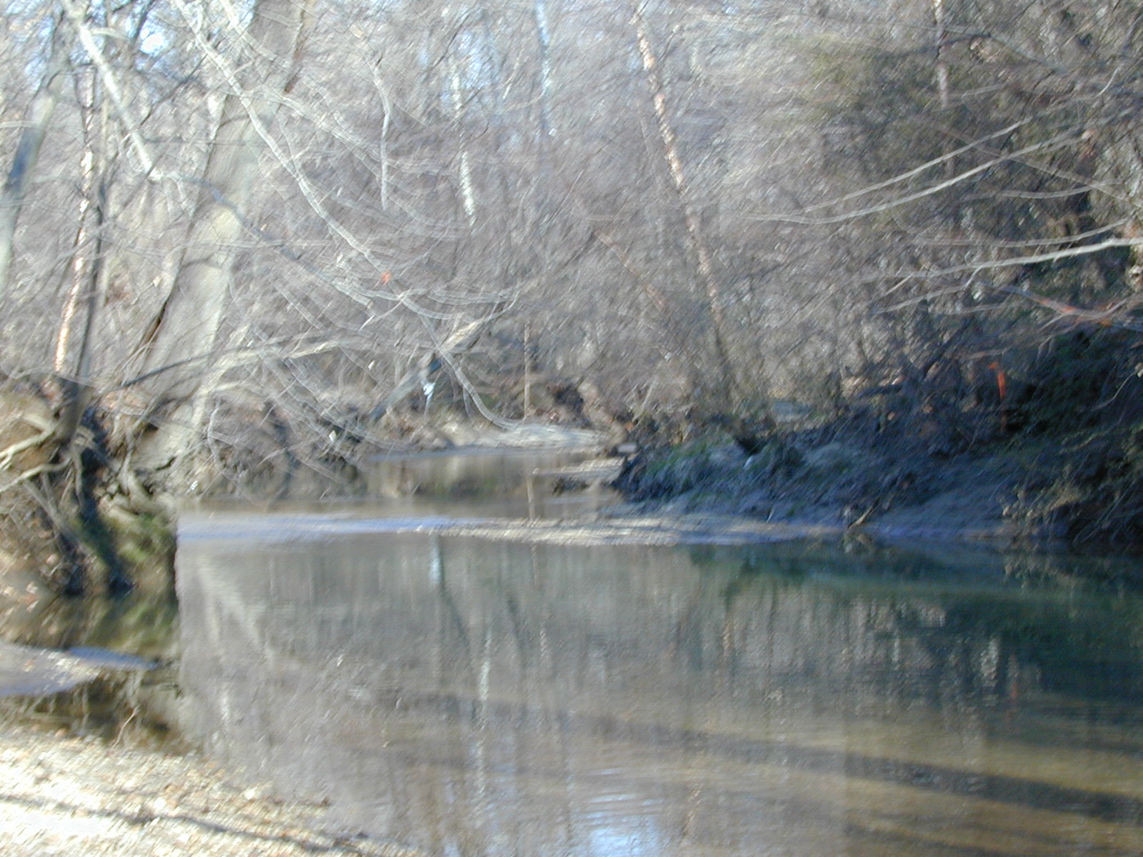 Field photo showing stream conditions at site WEBR-212-R-2001-153