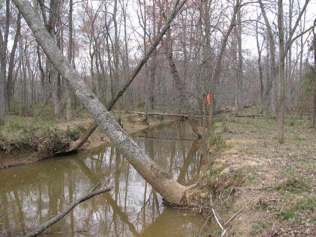 Field photo showing stream conditions at site WEBR-213-A-2012-1
