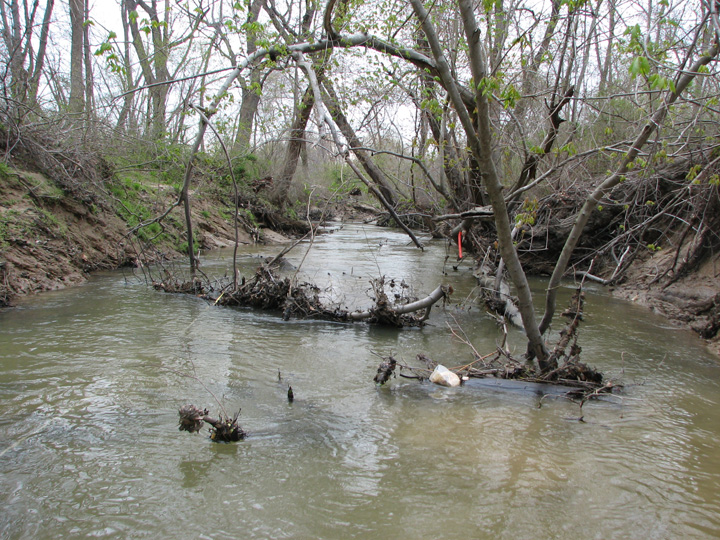Field photo showing stream conditions at site WEBR-359-T-2007-1