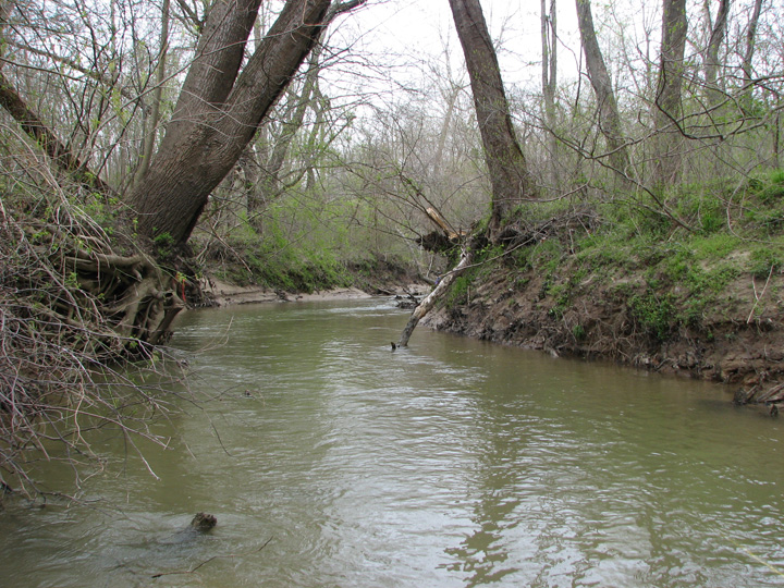 Field photo showing stream conditions at site WEBR-359-T-2007-2