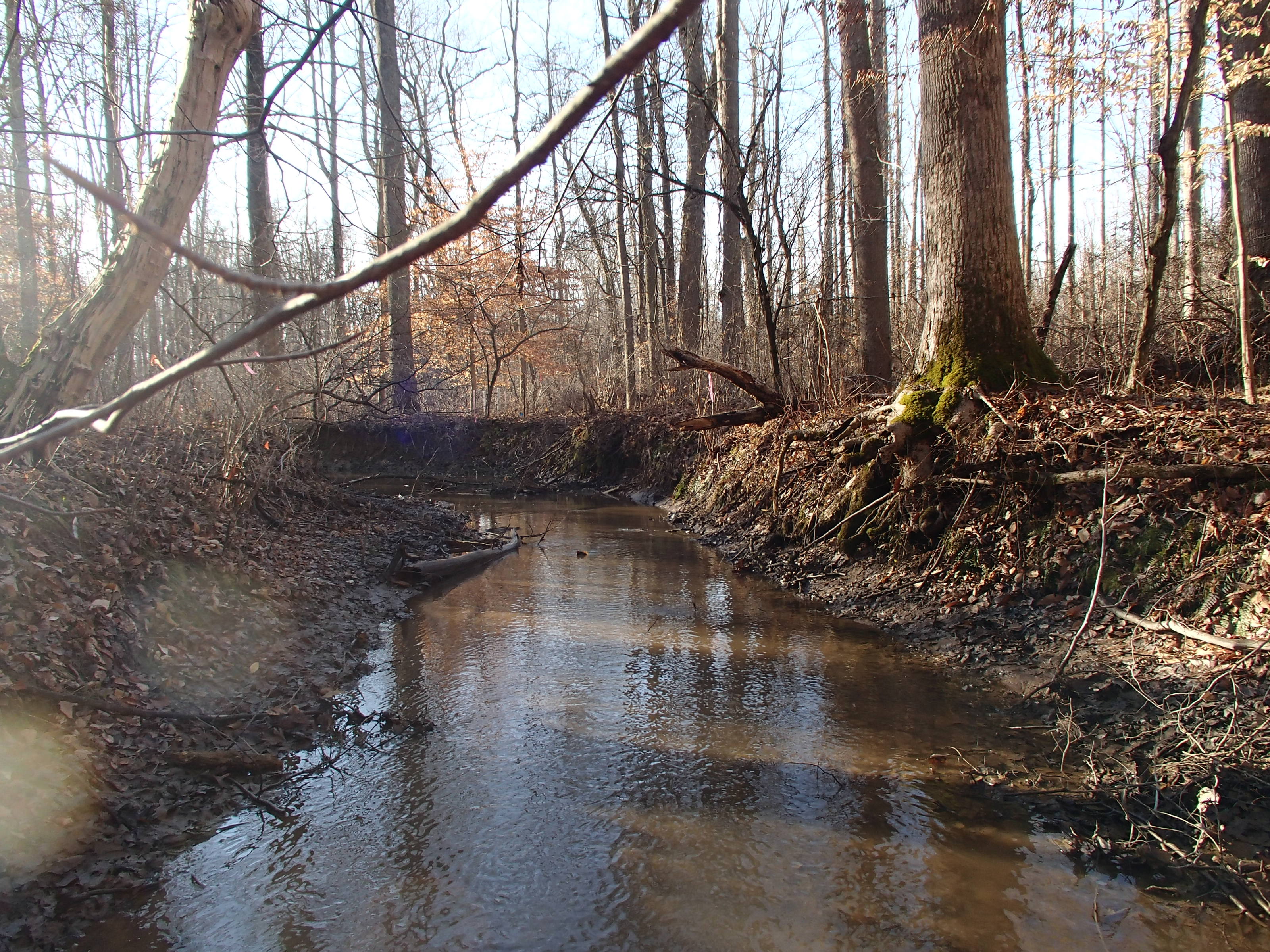 Field photo showing stream conditions at site WEST-101-X-2015_P-looking-downstream