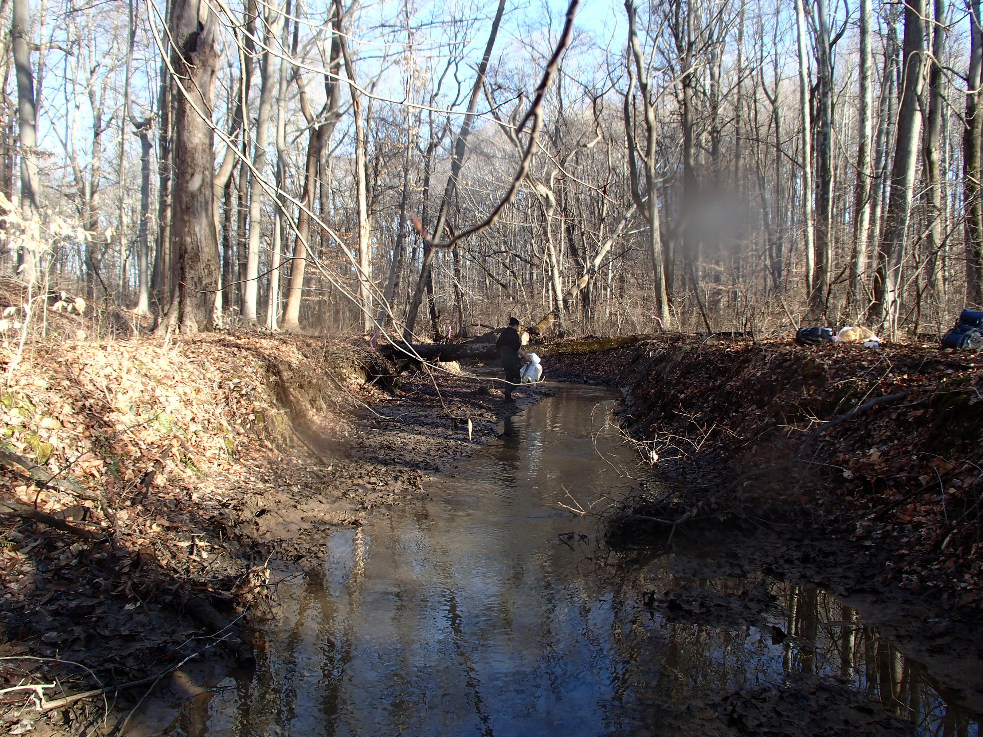 Field photo showing stream conditions at site WEST-101-X-2015_P-looking-upstream