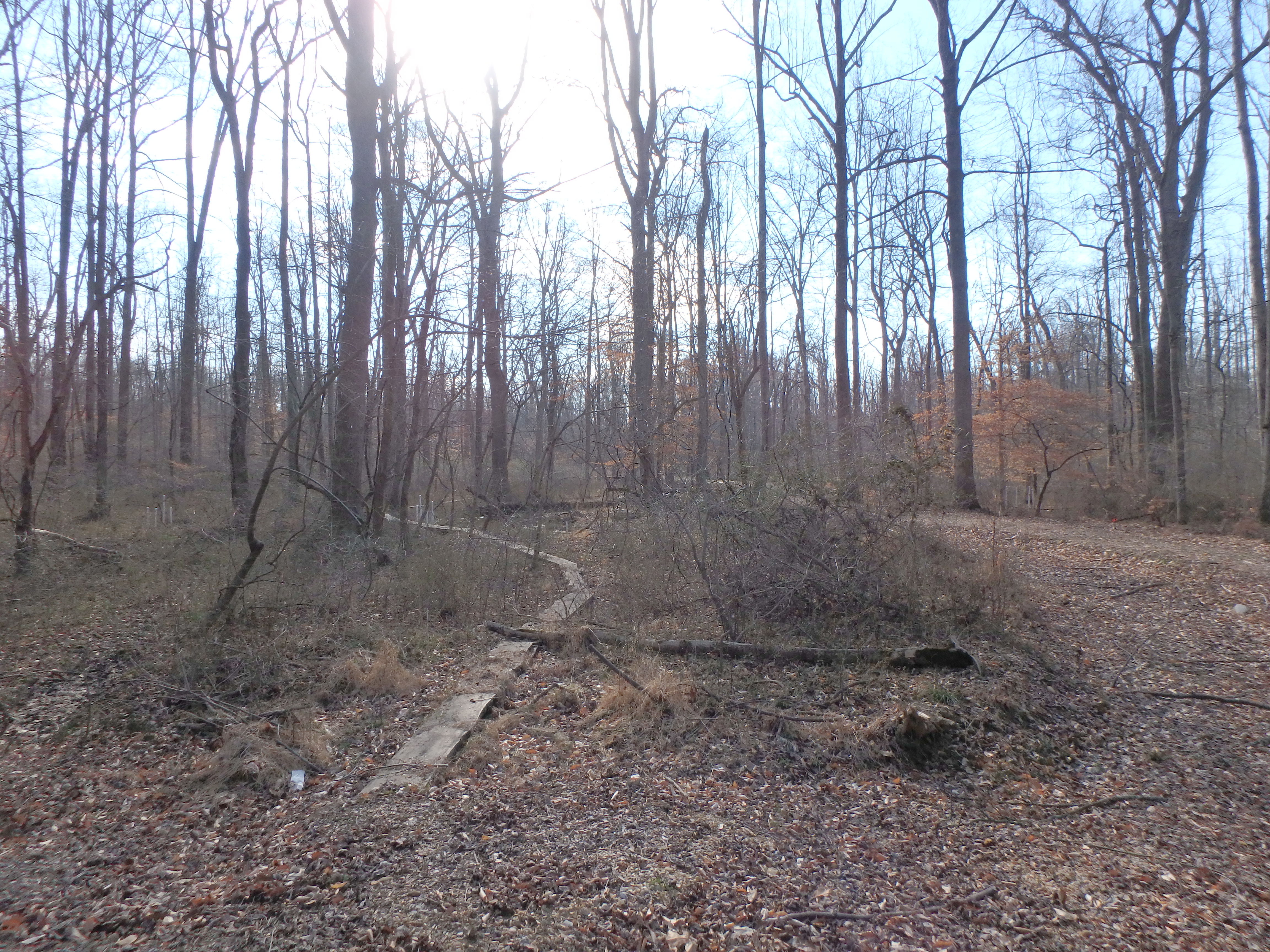 Field photo showing stream conditions at site WEST-101-X-2017-MidpointFacingDownstream
